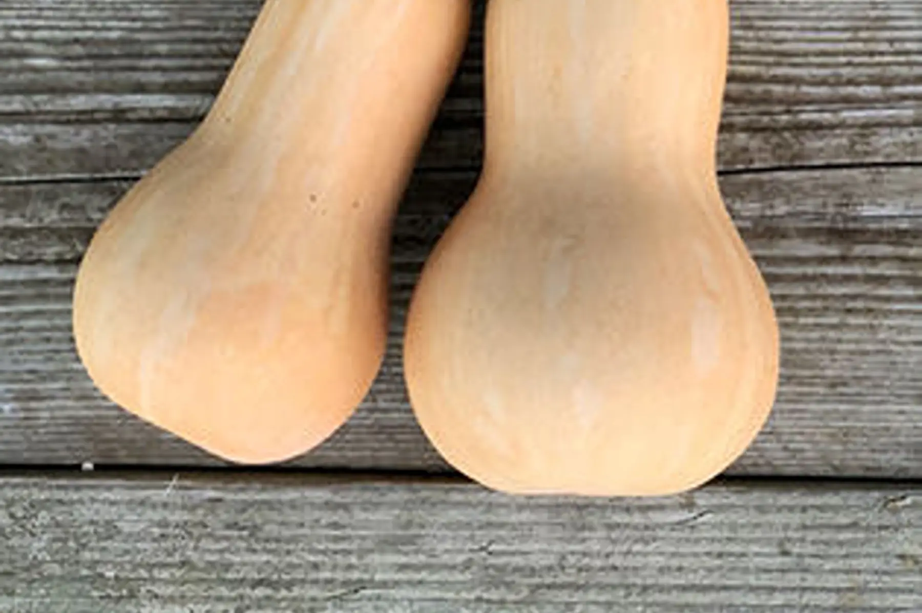 courge butternut
