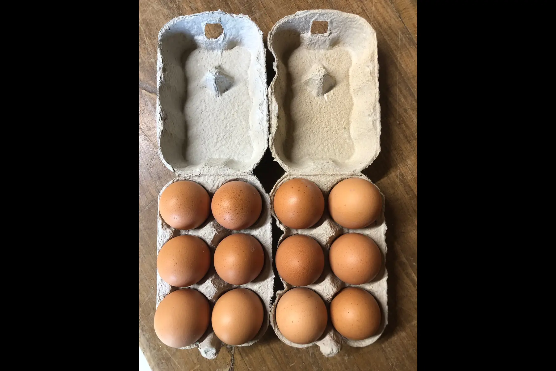 oeufs ab, boîte de 12