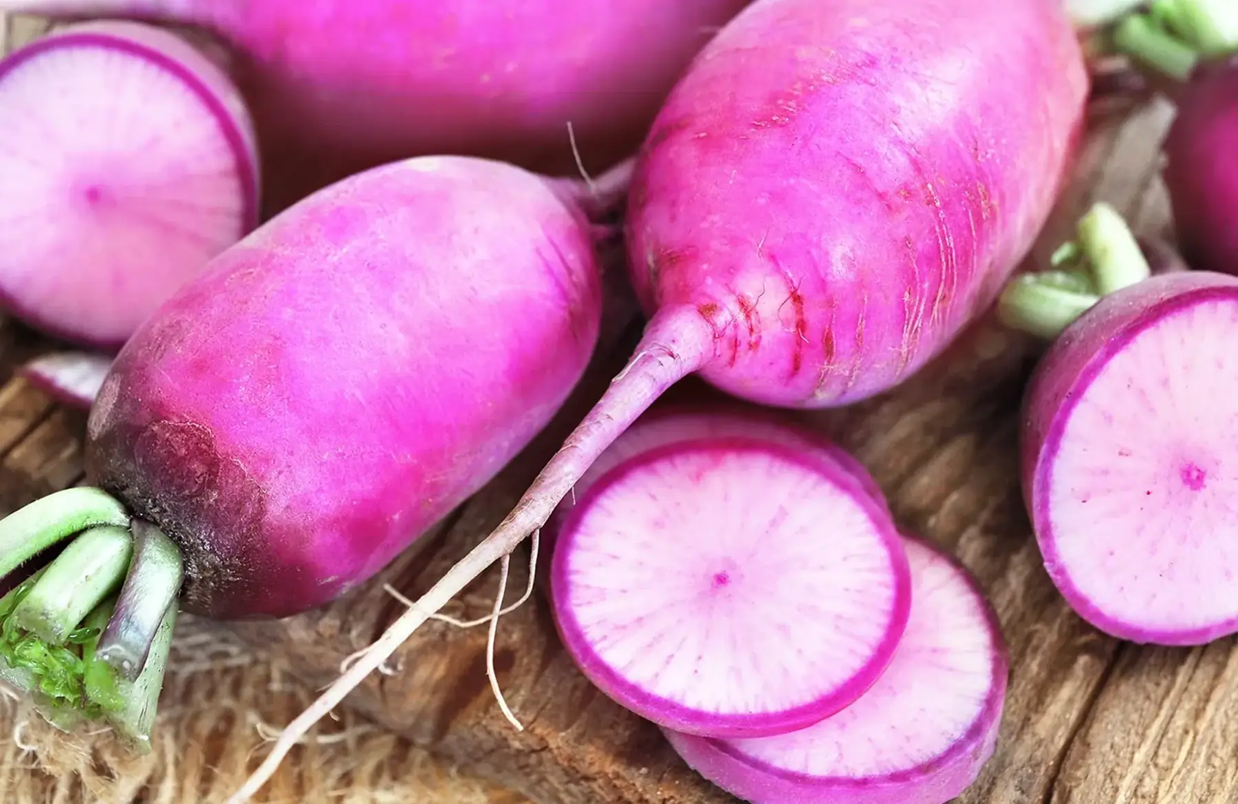radis violet
