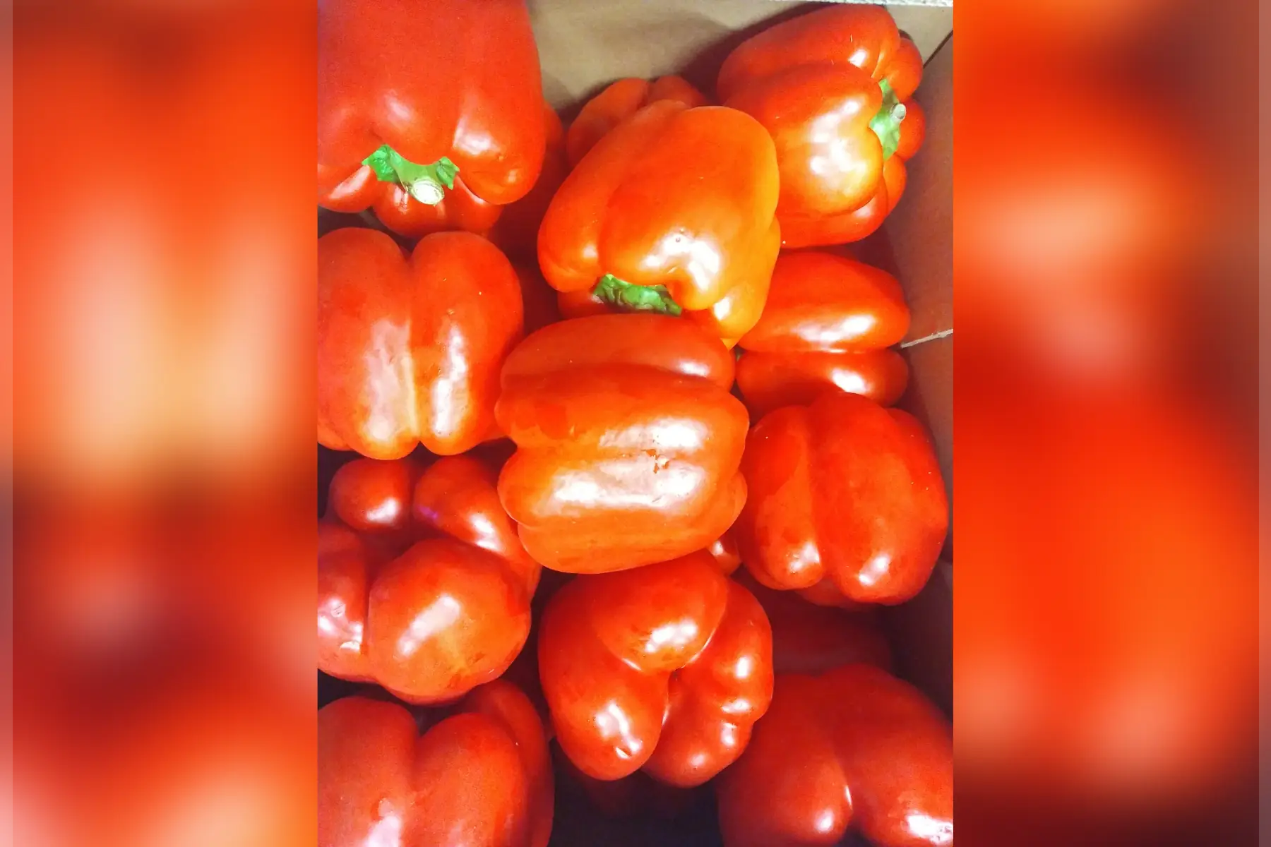 magasin - poivron rouge