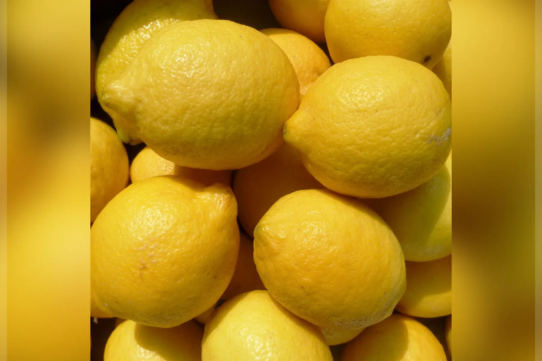 épicerie - citron jaune