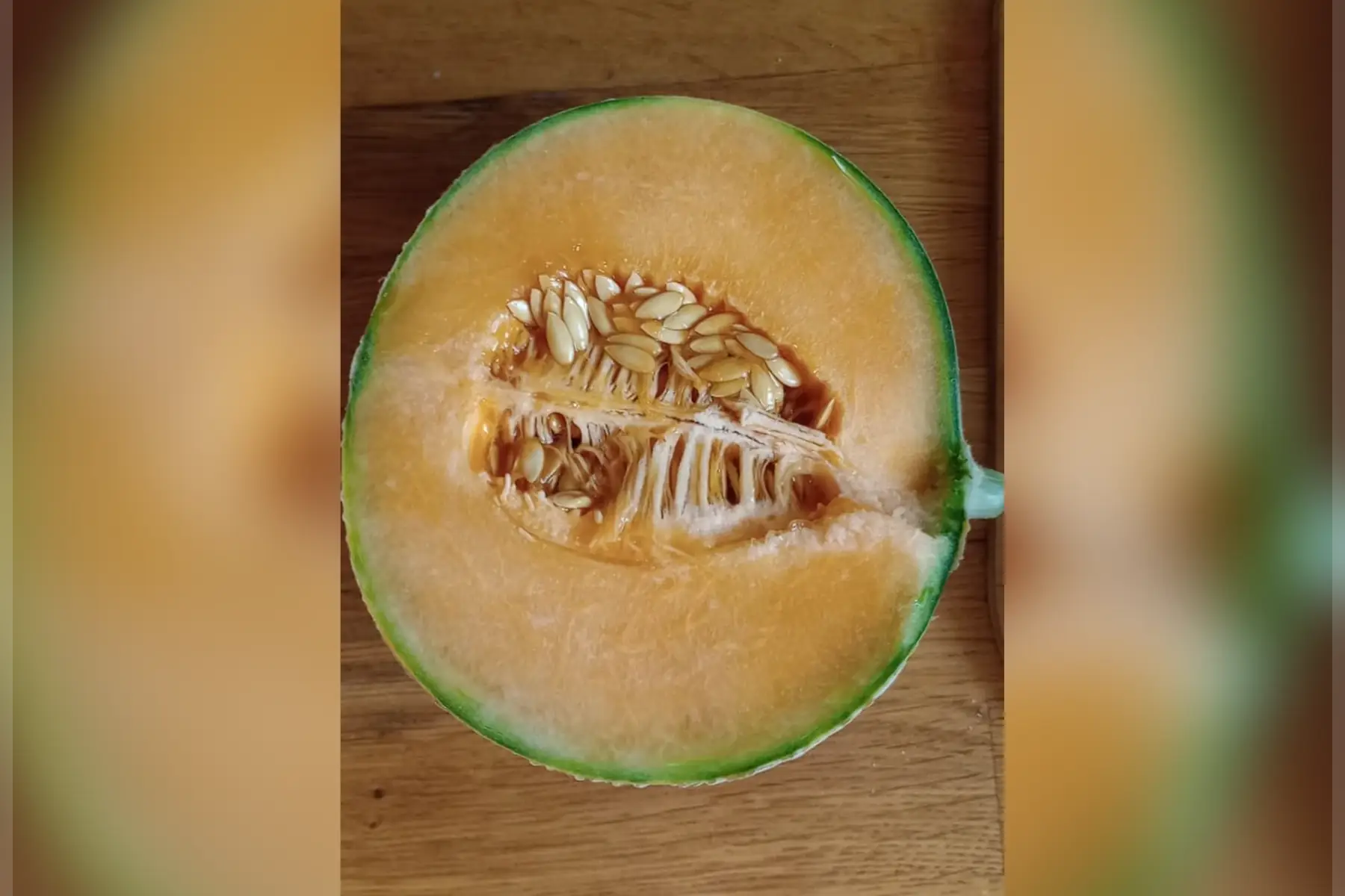 melon