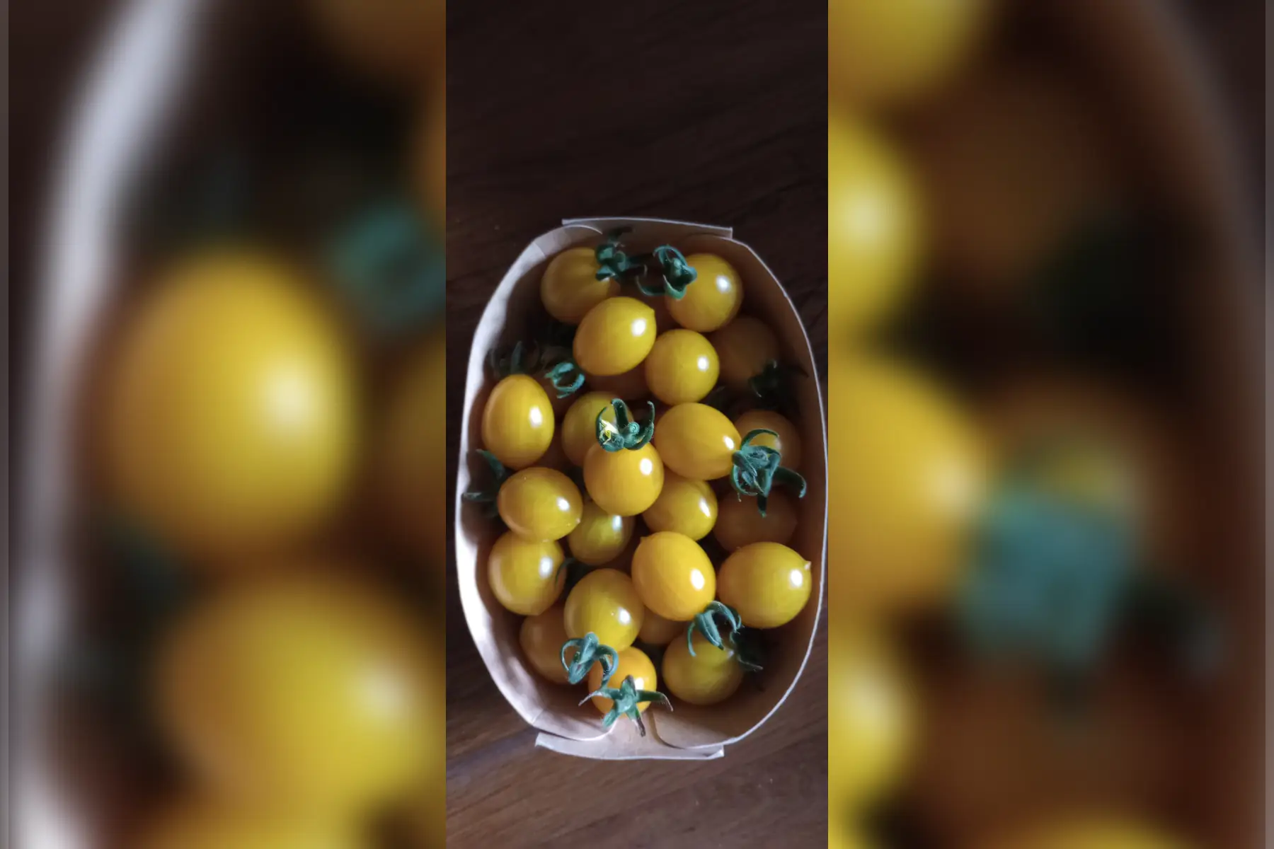 tomates cerises
