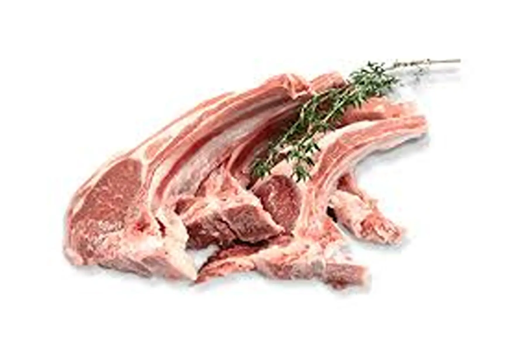 agneau - côte première