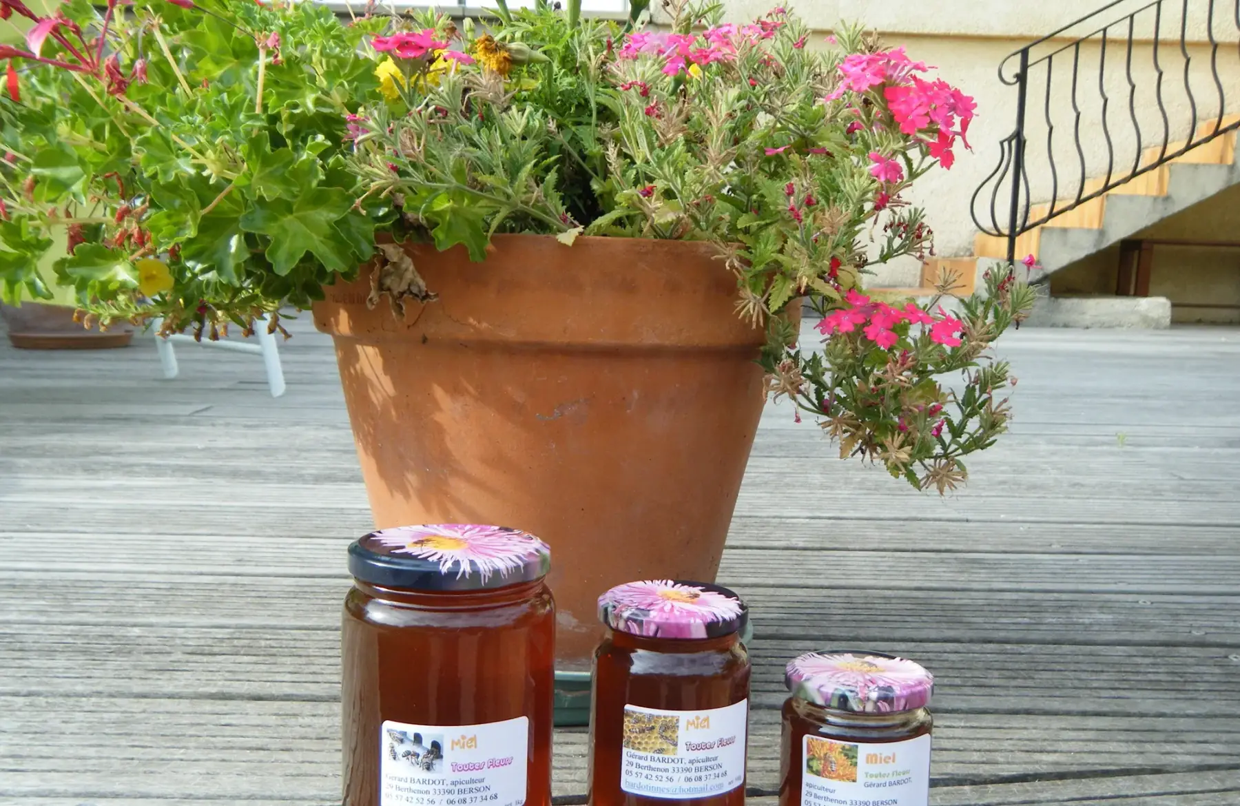 miel de bruyère cendrée