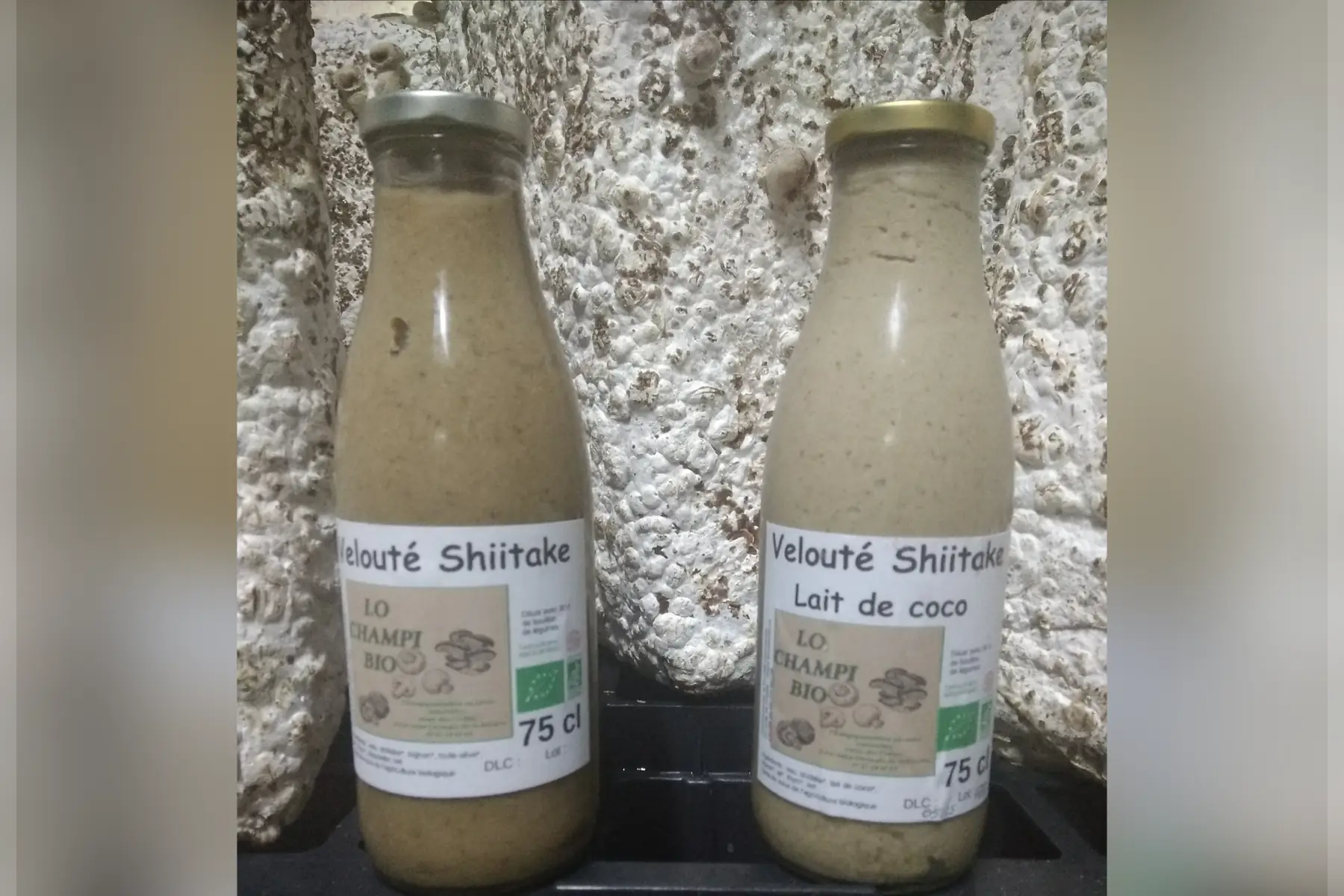 velouté shiitake lait de coco 75cl