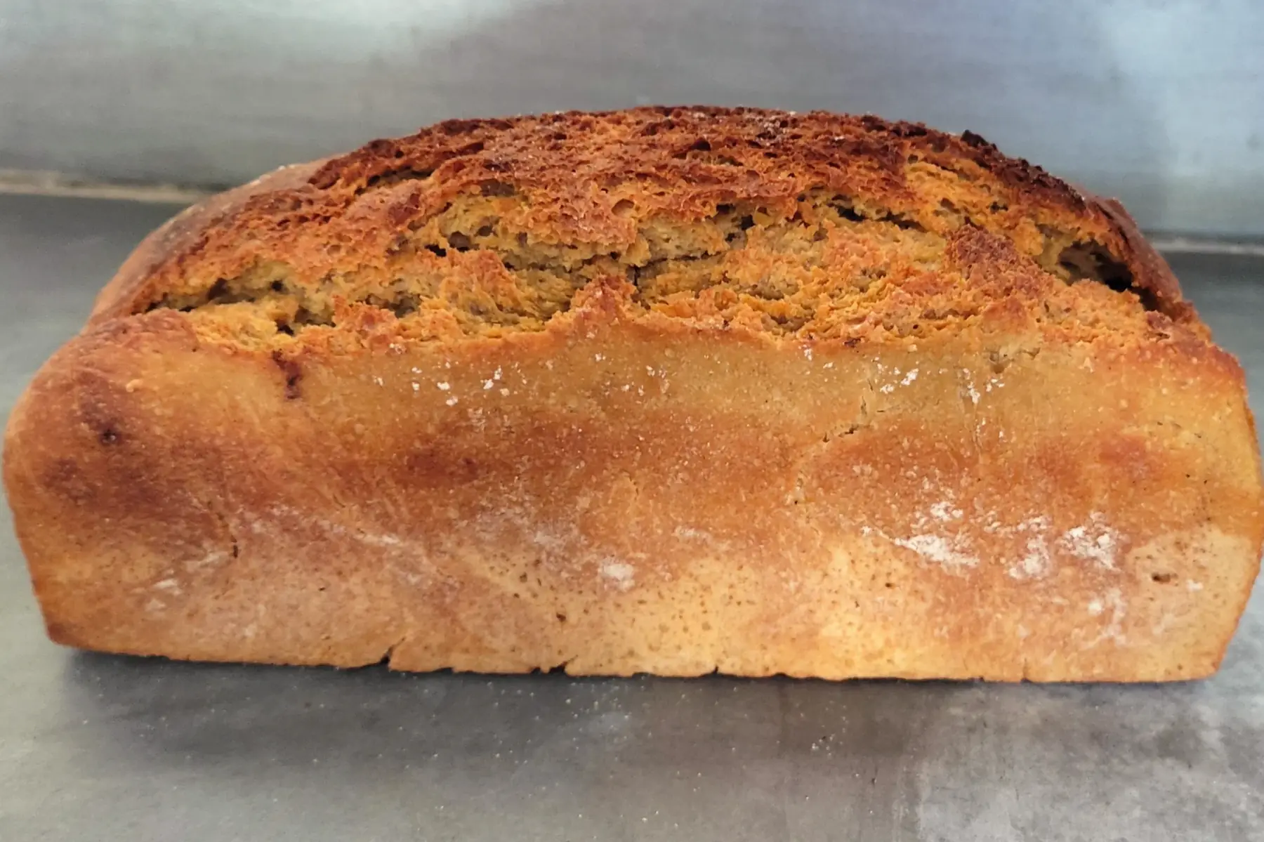 Pain d'ici et maintenant