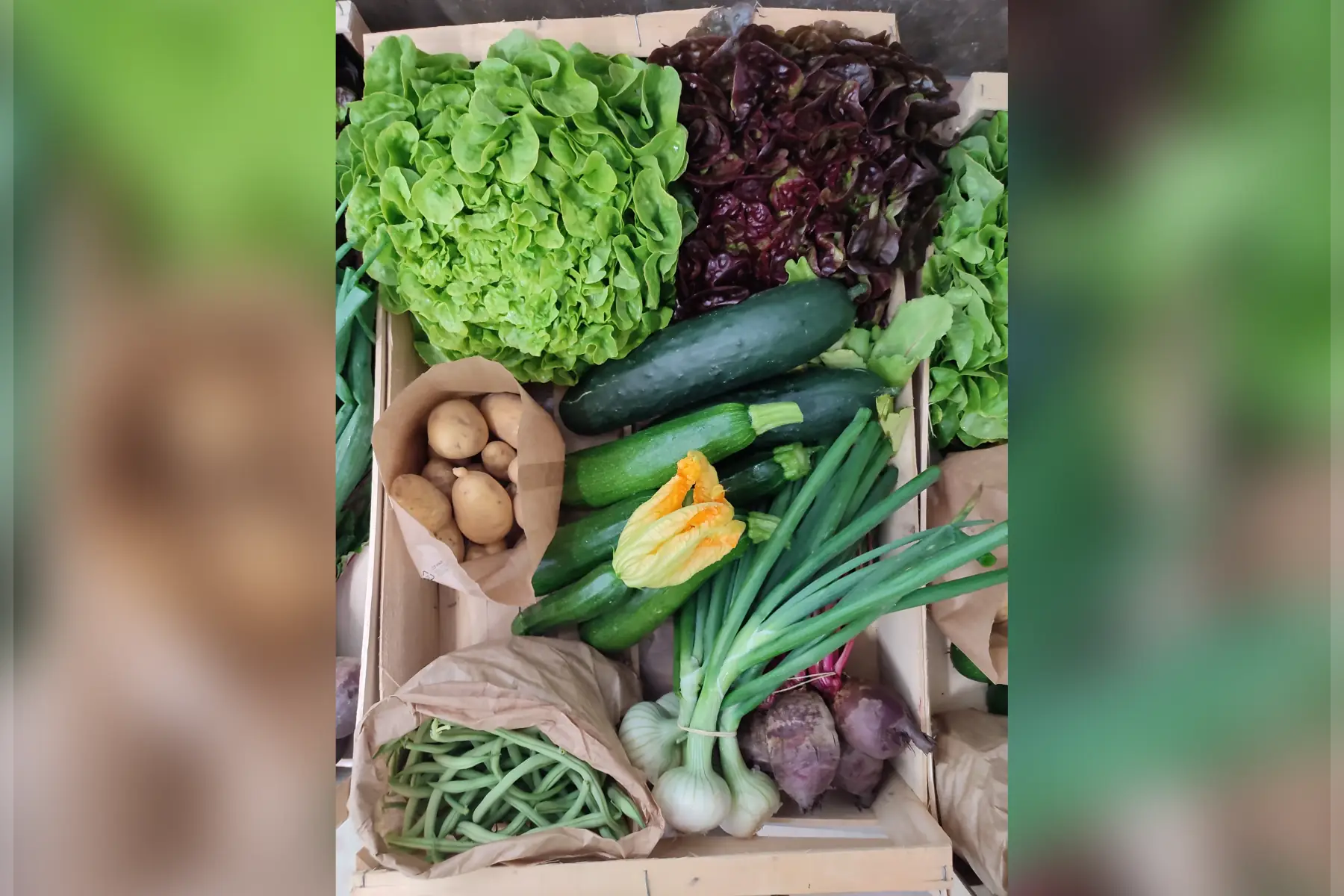 grand de panier de légumes de saison