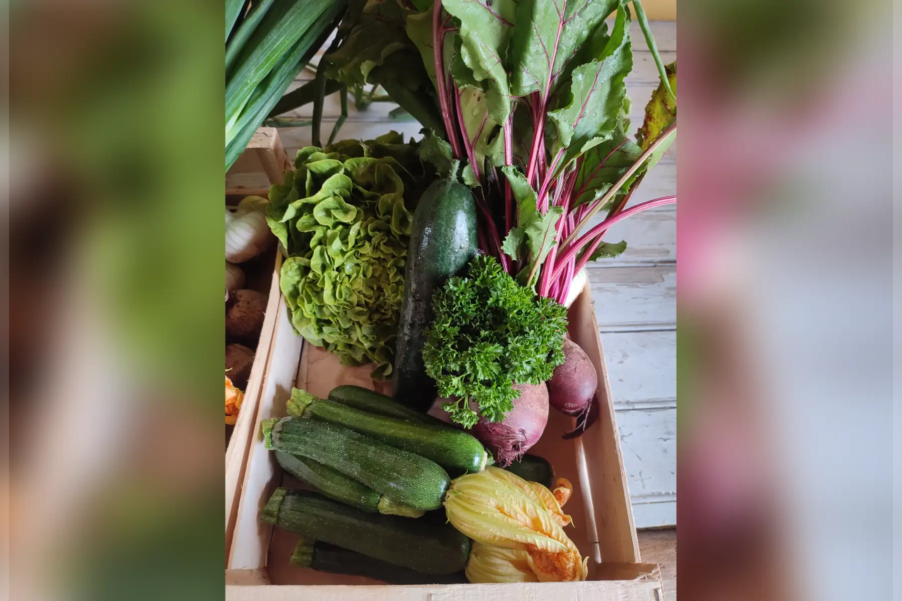 petit panier de saison