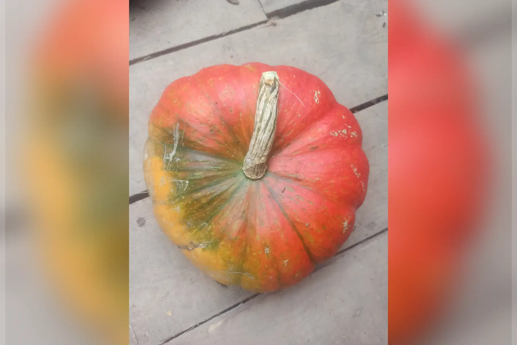 rouge vif d'étampes