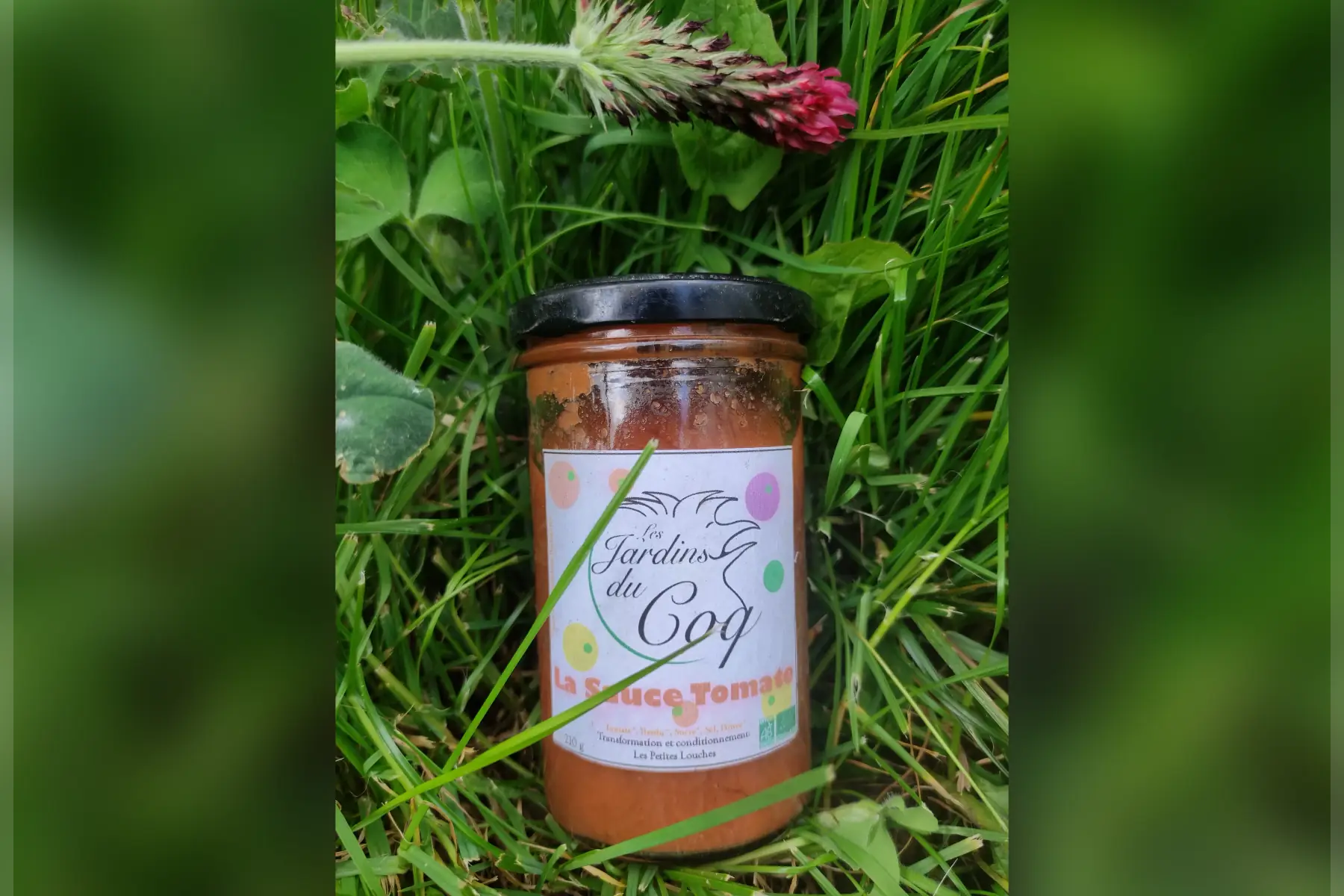 sauce tomate de la ferme