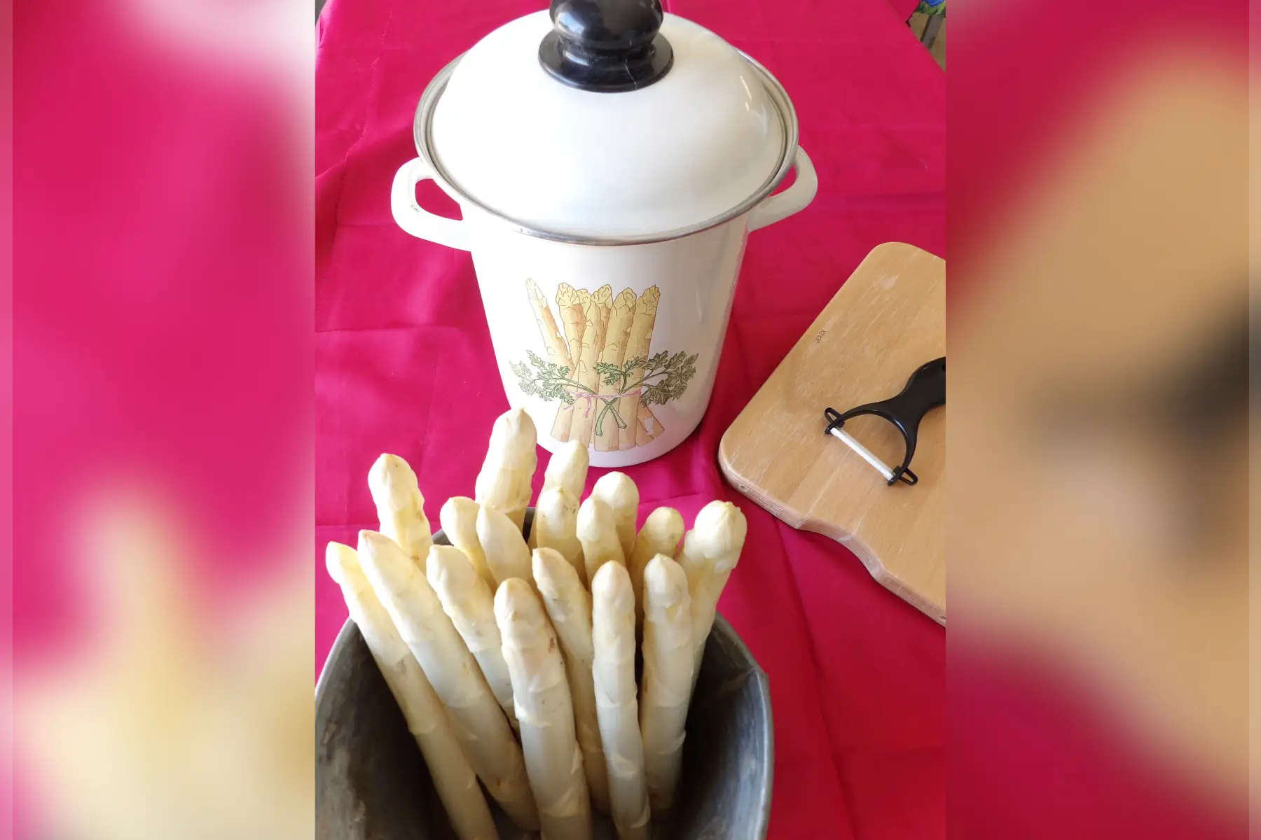 asperges blanches longue calibre moyen igp de st christoly