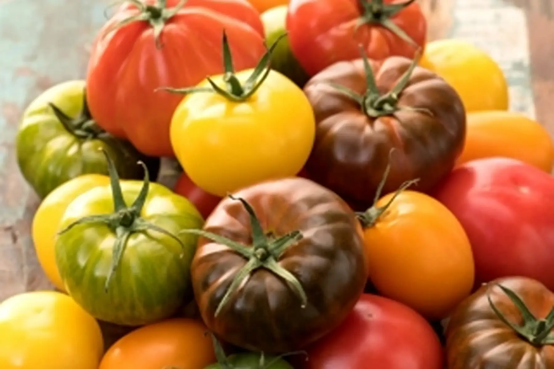 tomates anciennes en sachet de 1kg