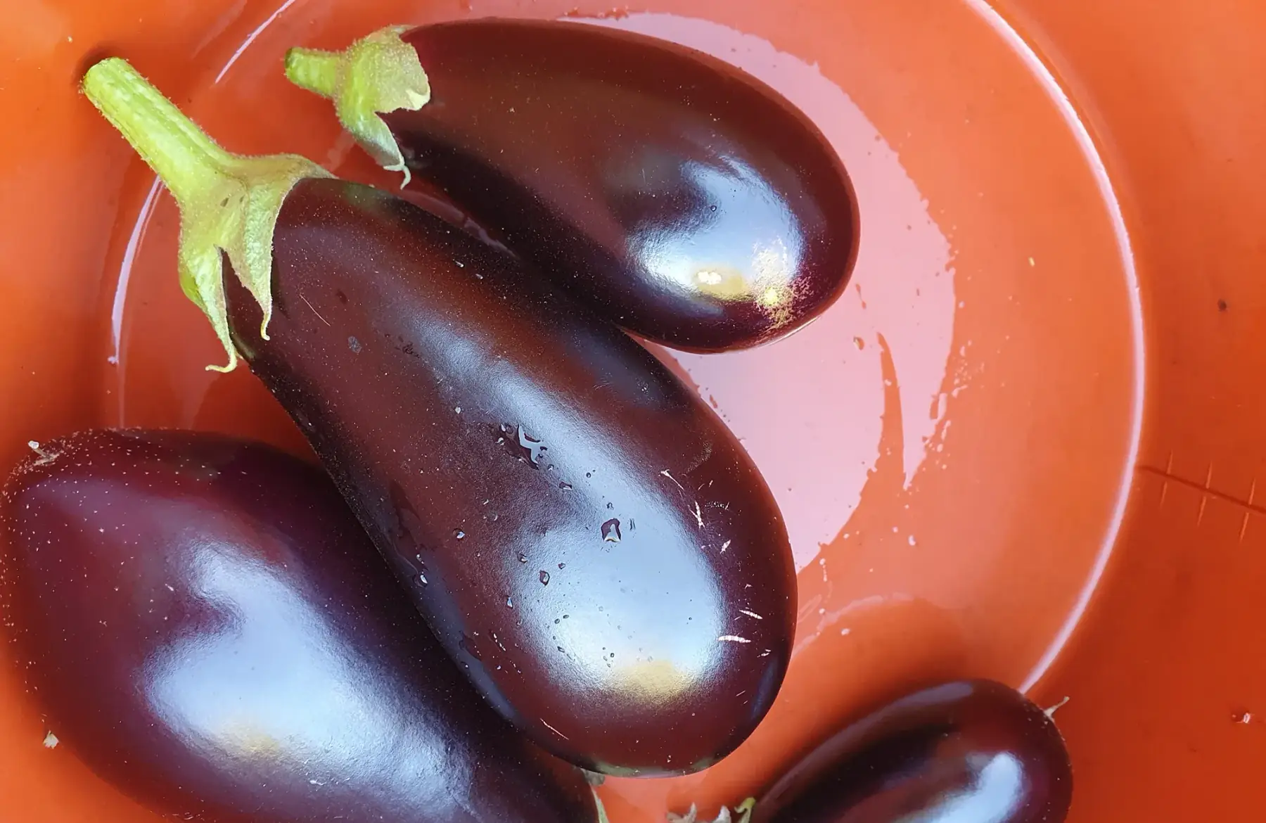 Aubergine mini ou taille normale, sachet de 1kg