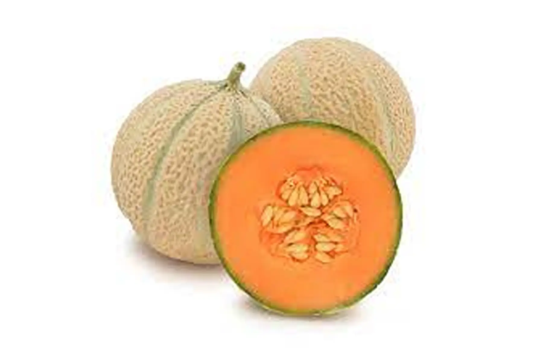 melon