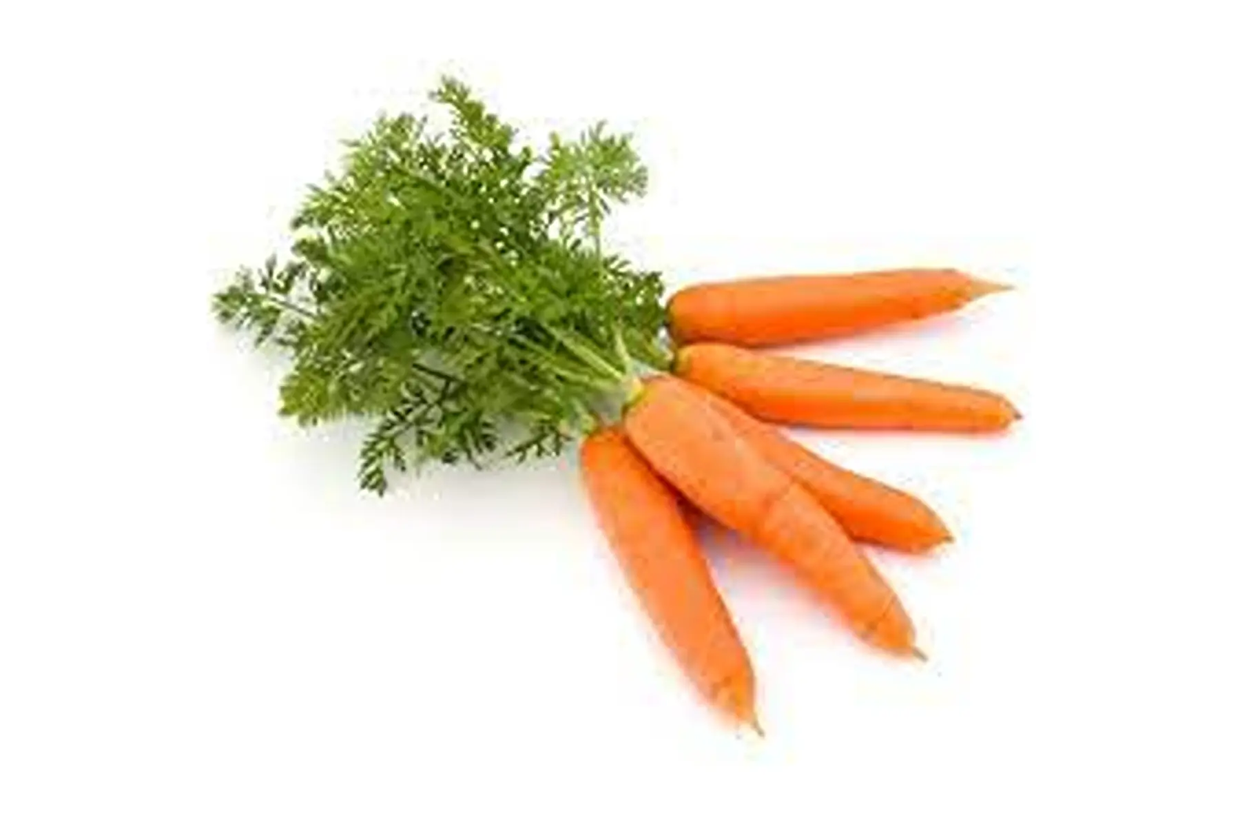 carottes nouvelles avec fanes