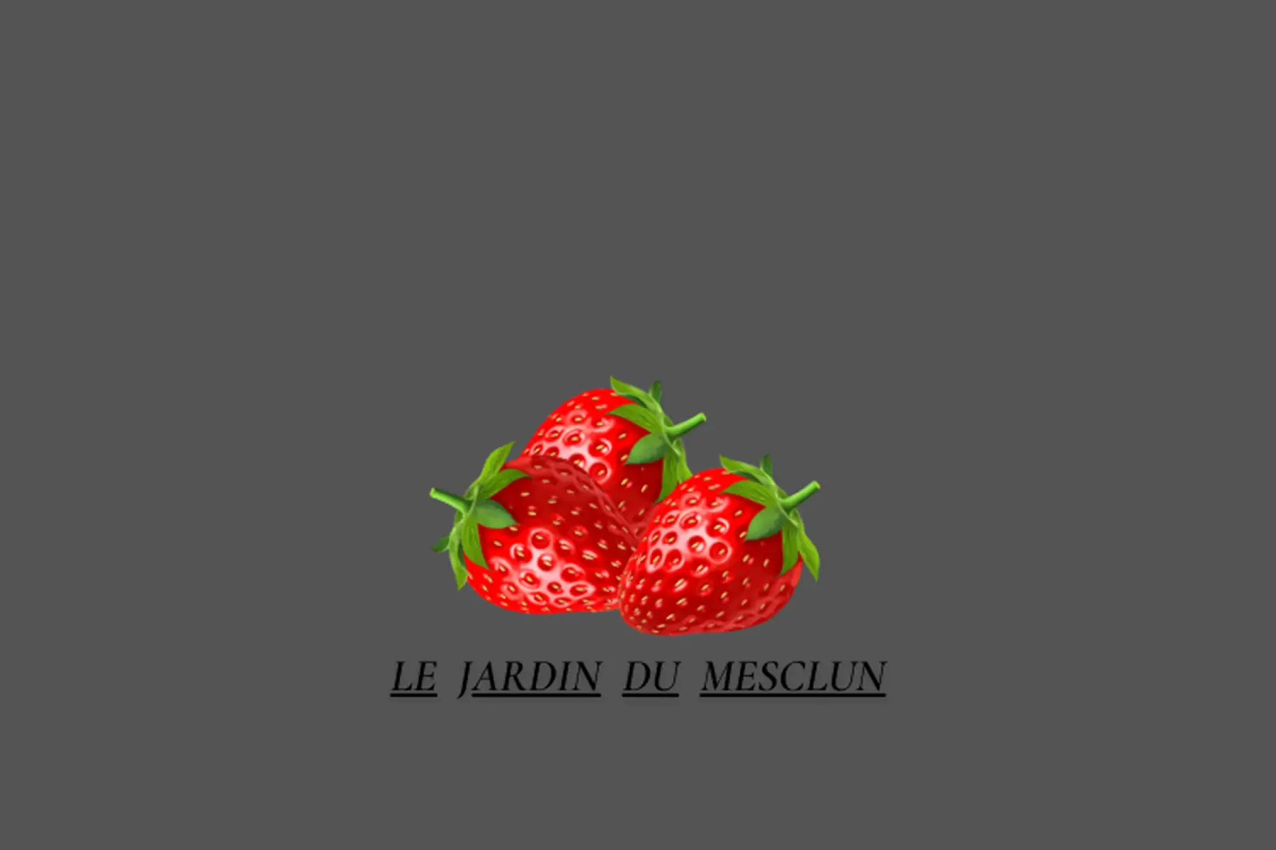fraises Ciflorette 250g
