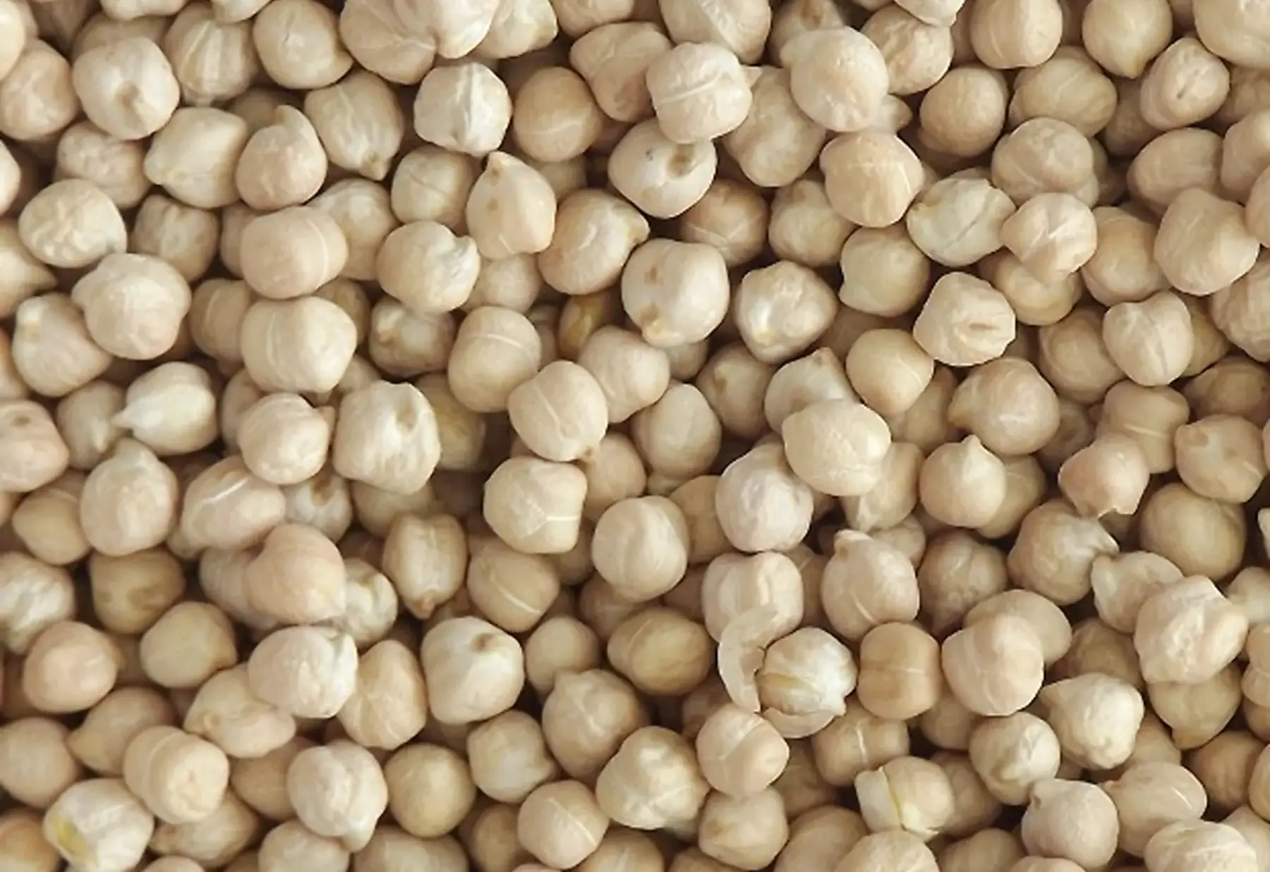 Pois Chiche (1Kg)