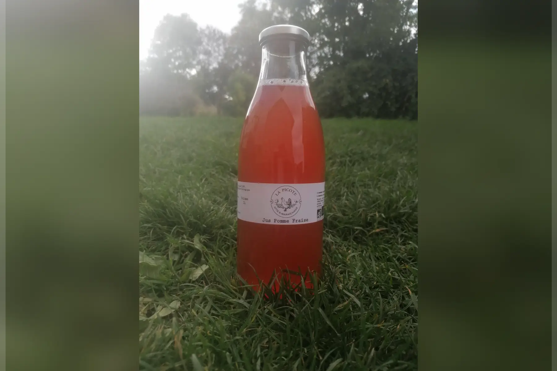 Jus pomme poire 1L