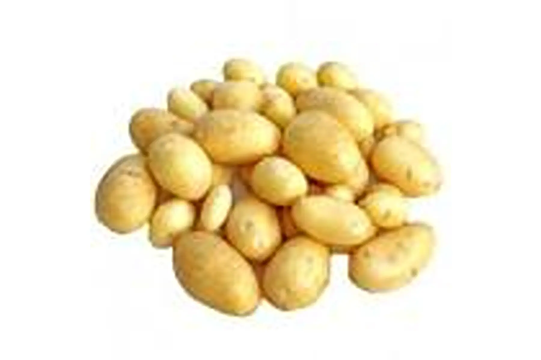 Pommes de terre nouvelles
