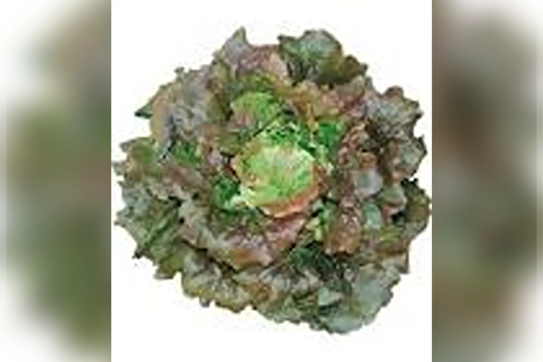 Salade grenobloise