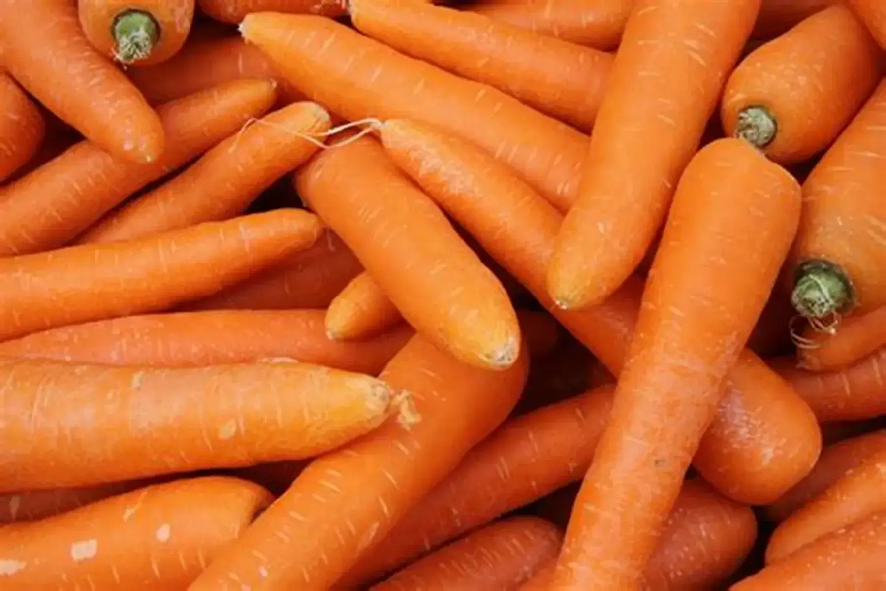 carotte vrac