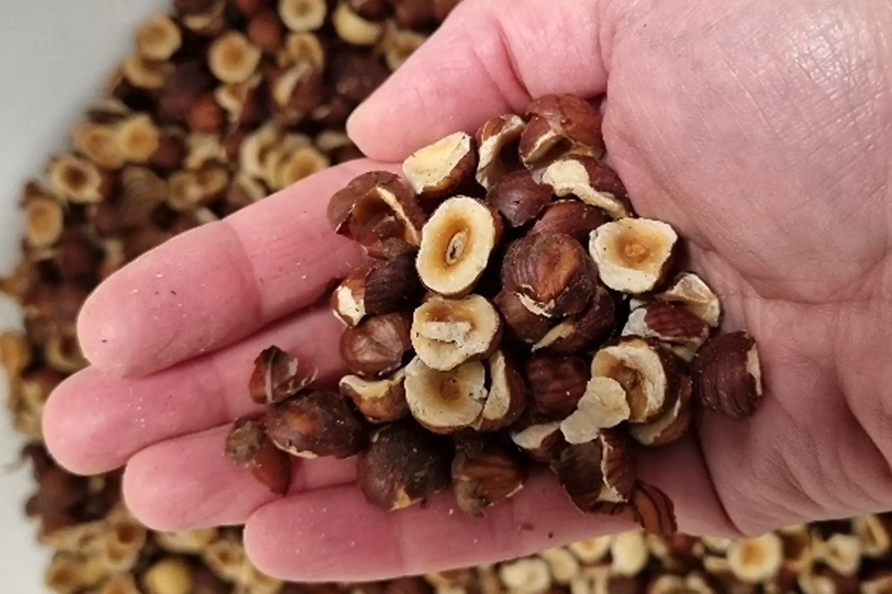 noisettes bio (demi) décortiquées brutes