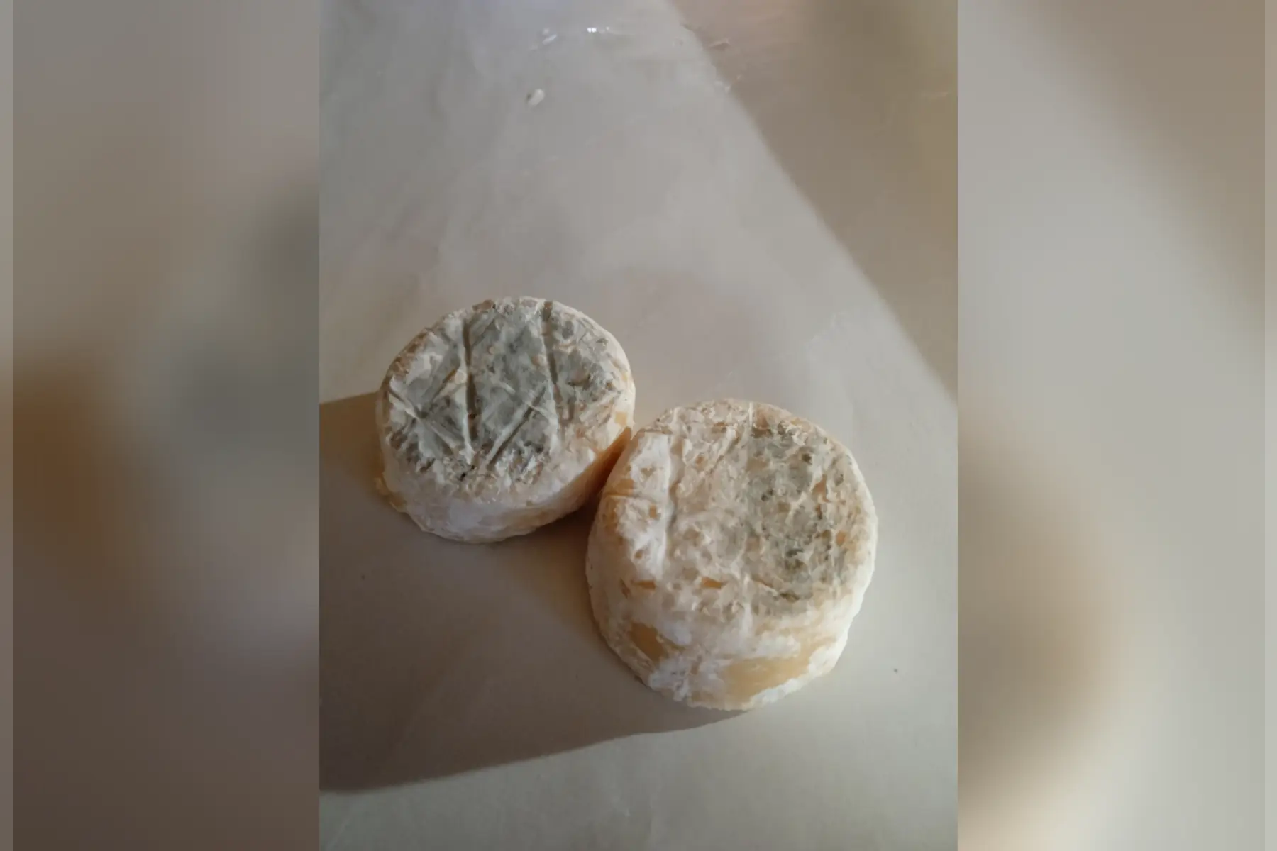fromage de chèvre affiné sec.