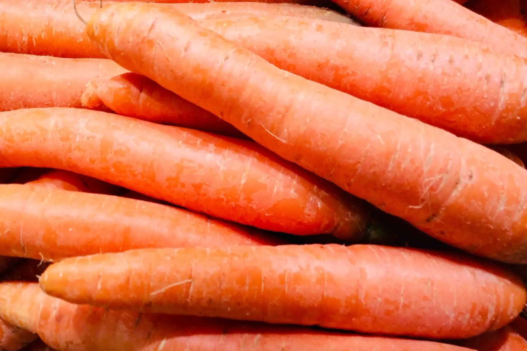 carotte vrac non lavée