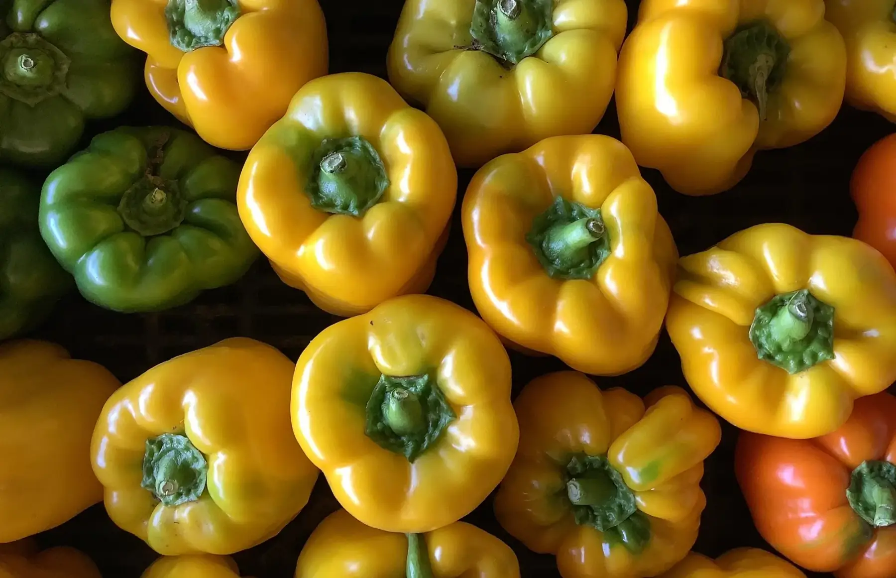 poivron jaune