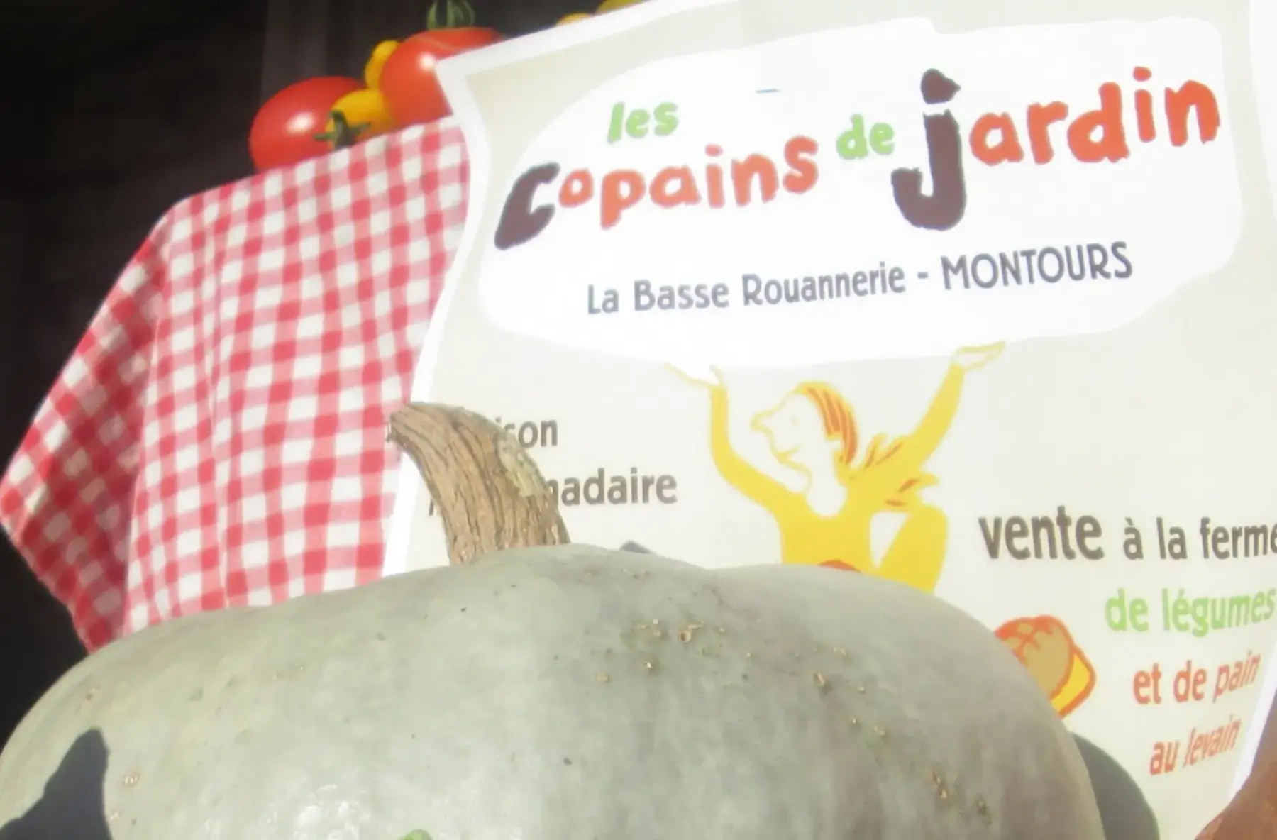 1 - petit copain : courgettes, carottes nouvelles, radis rouges, fenouil, salade