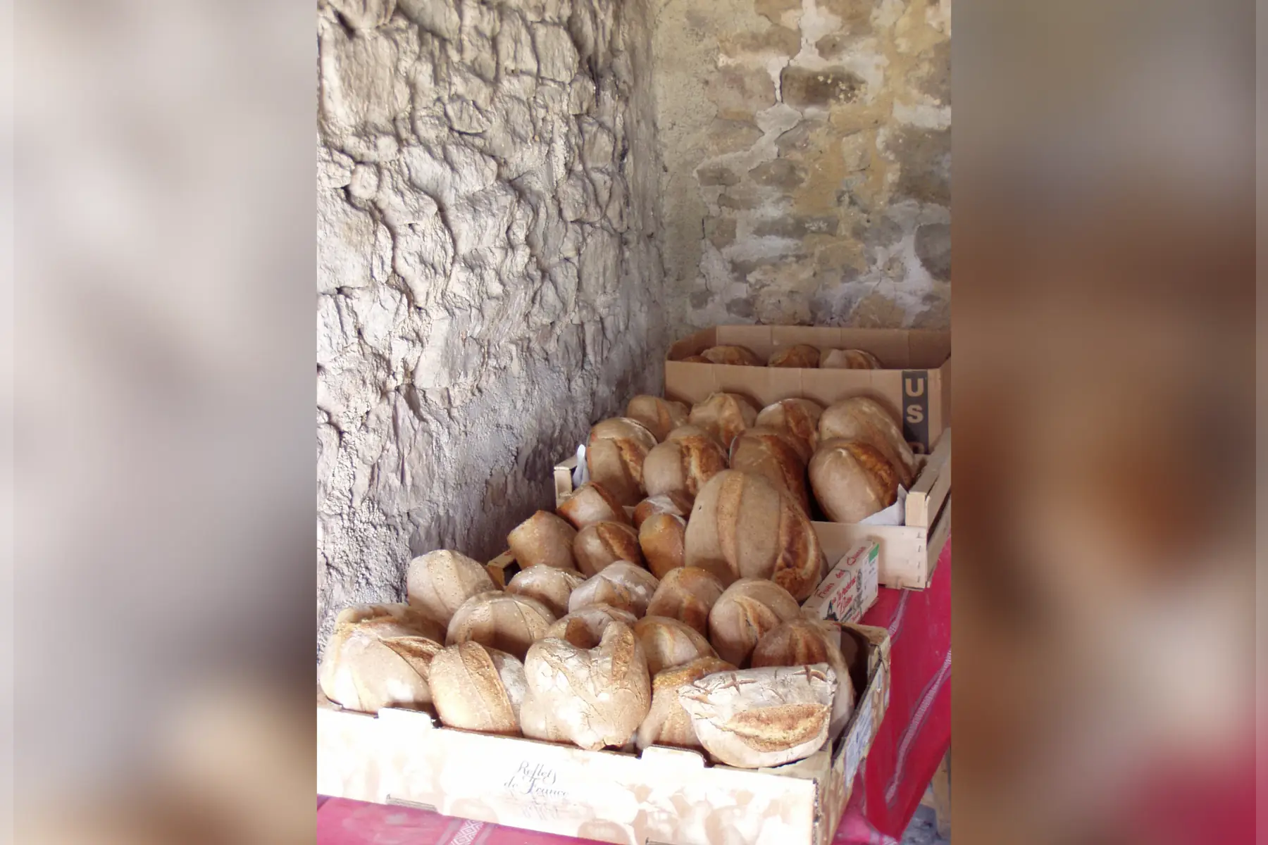 Les Copains de Jardin - GAEC GALLE