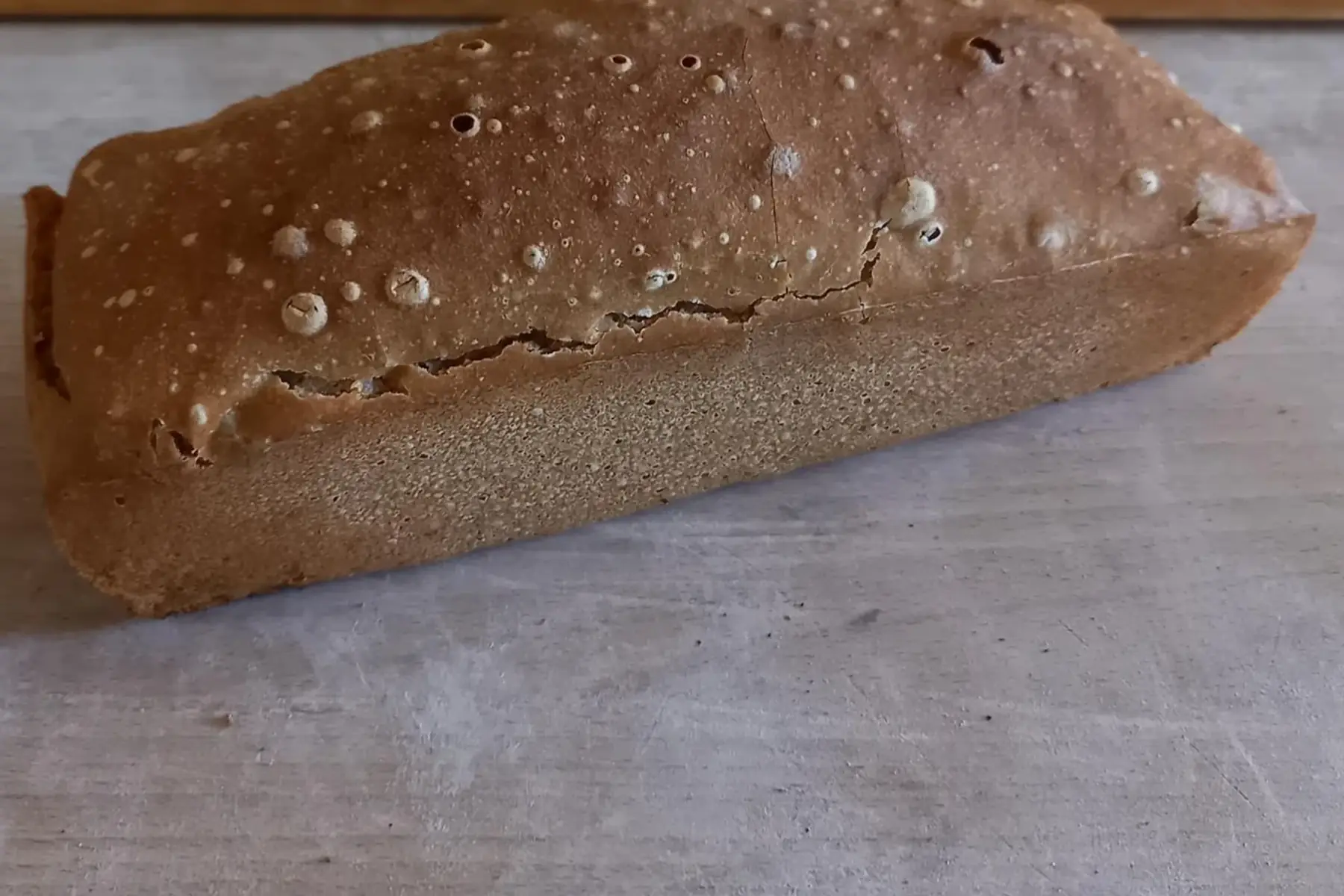 pain 100% grand épeautre 500g