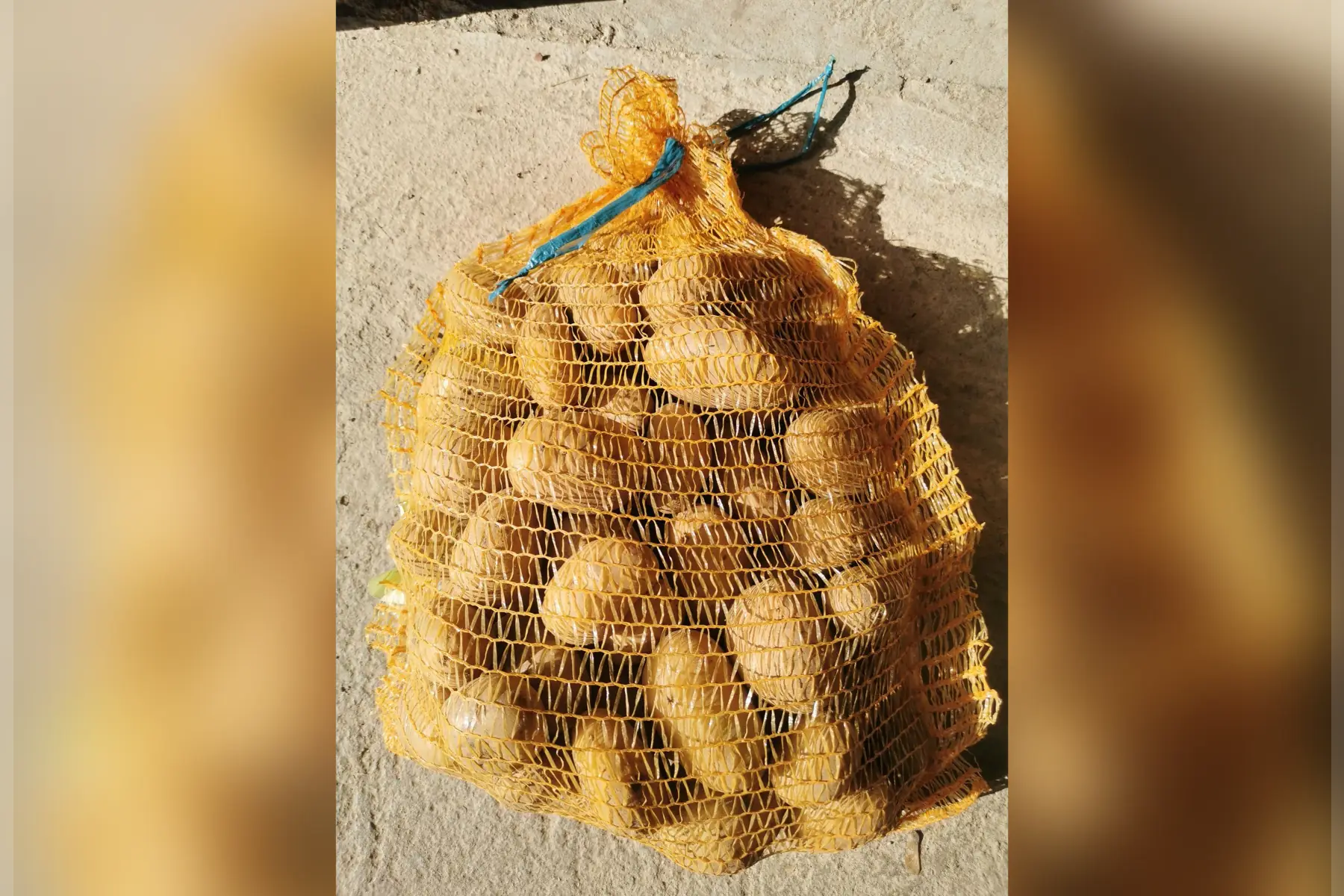 Pomme de terre 5kg (Allians)