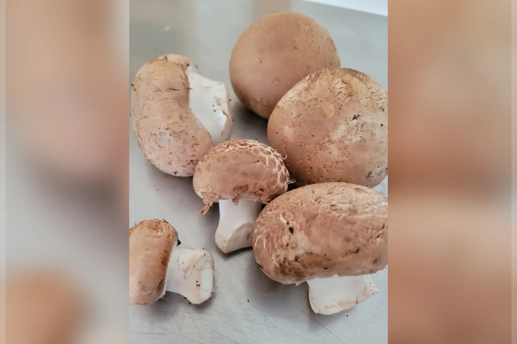 Champignons de Paris Blonds 400g