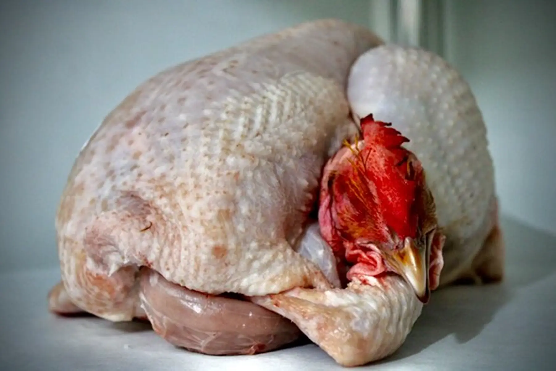 poulets fermiers entiers