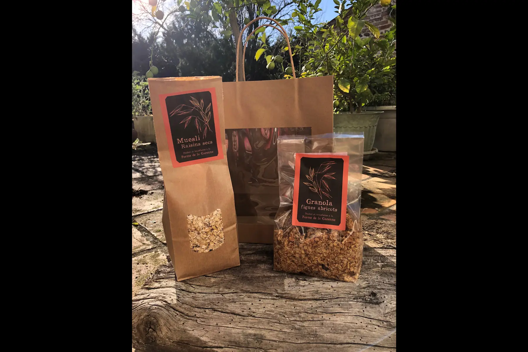 Panier de Noël 🎄