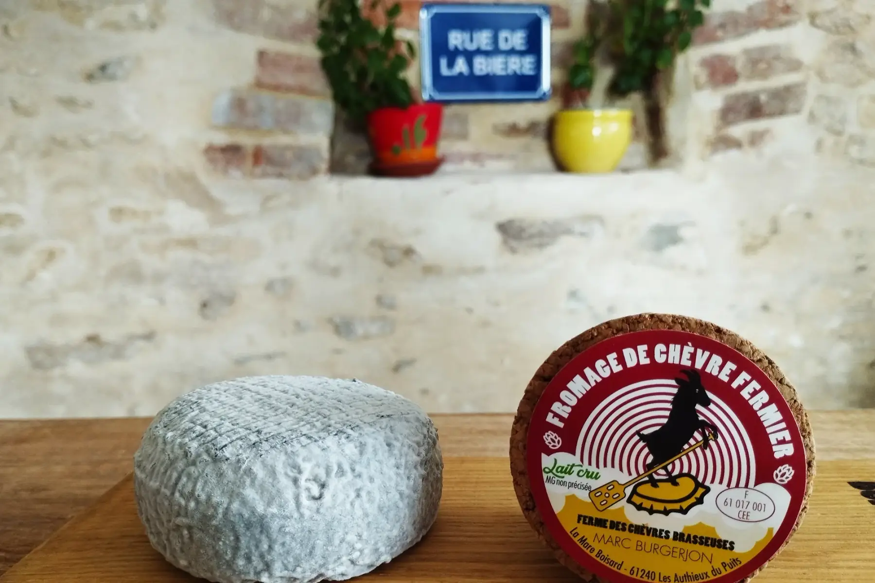 fromage de chèvre - sancerrois