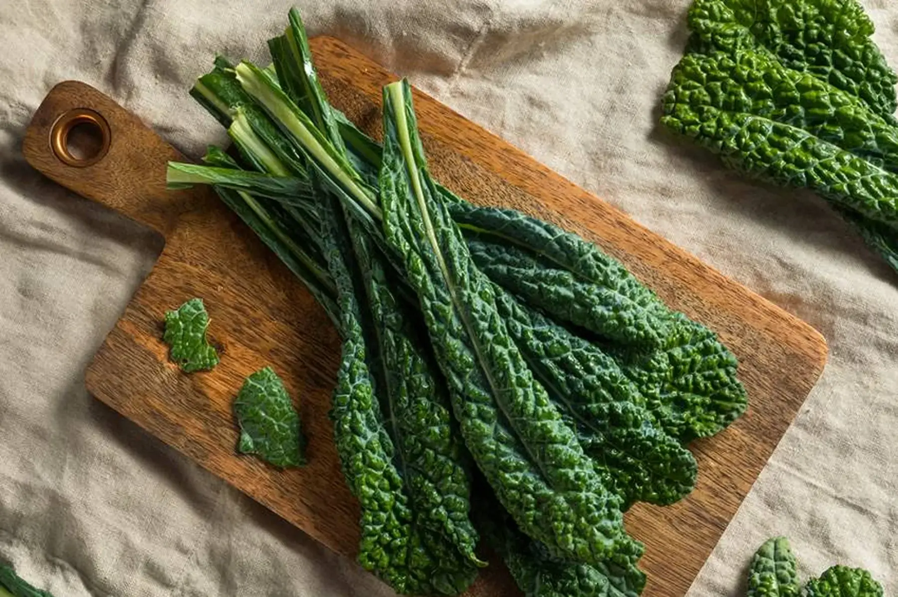 Chou kale noir de toscane