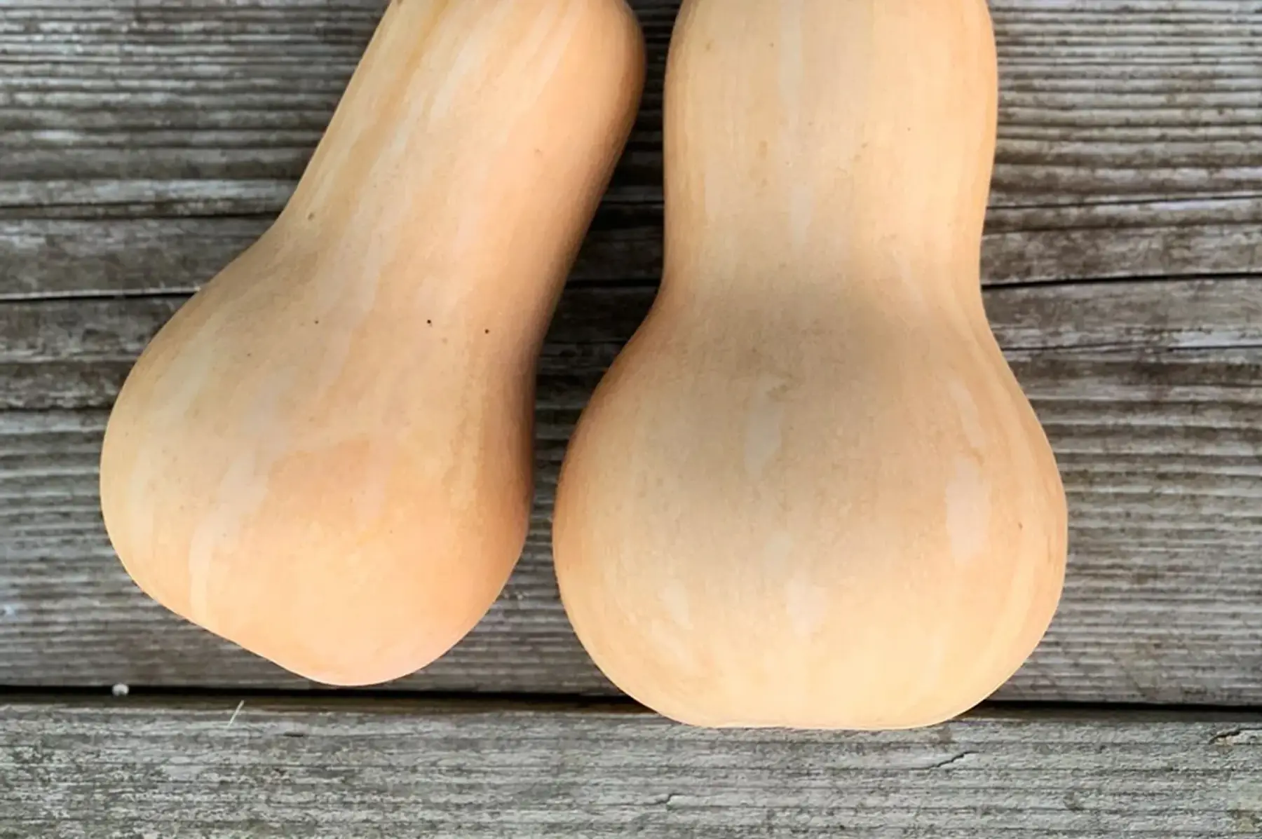 Butternut
