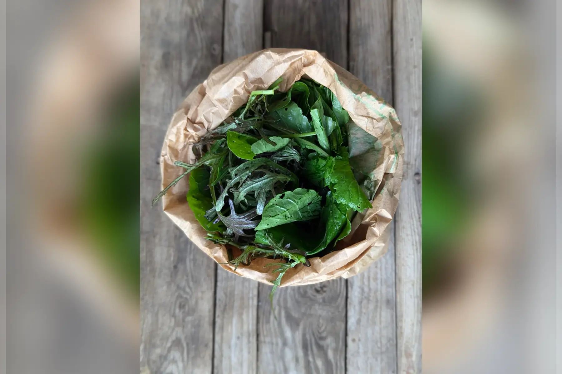 Mesclun