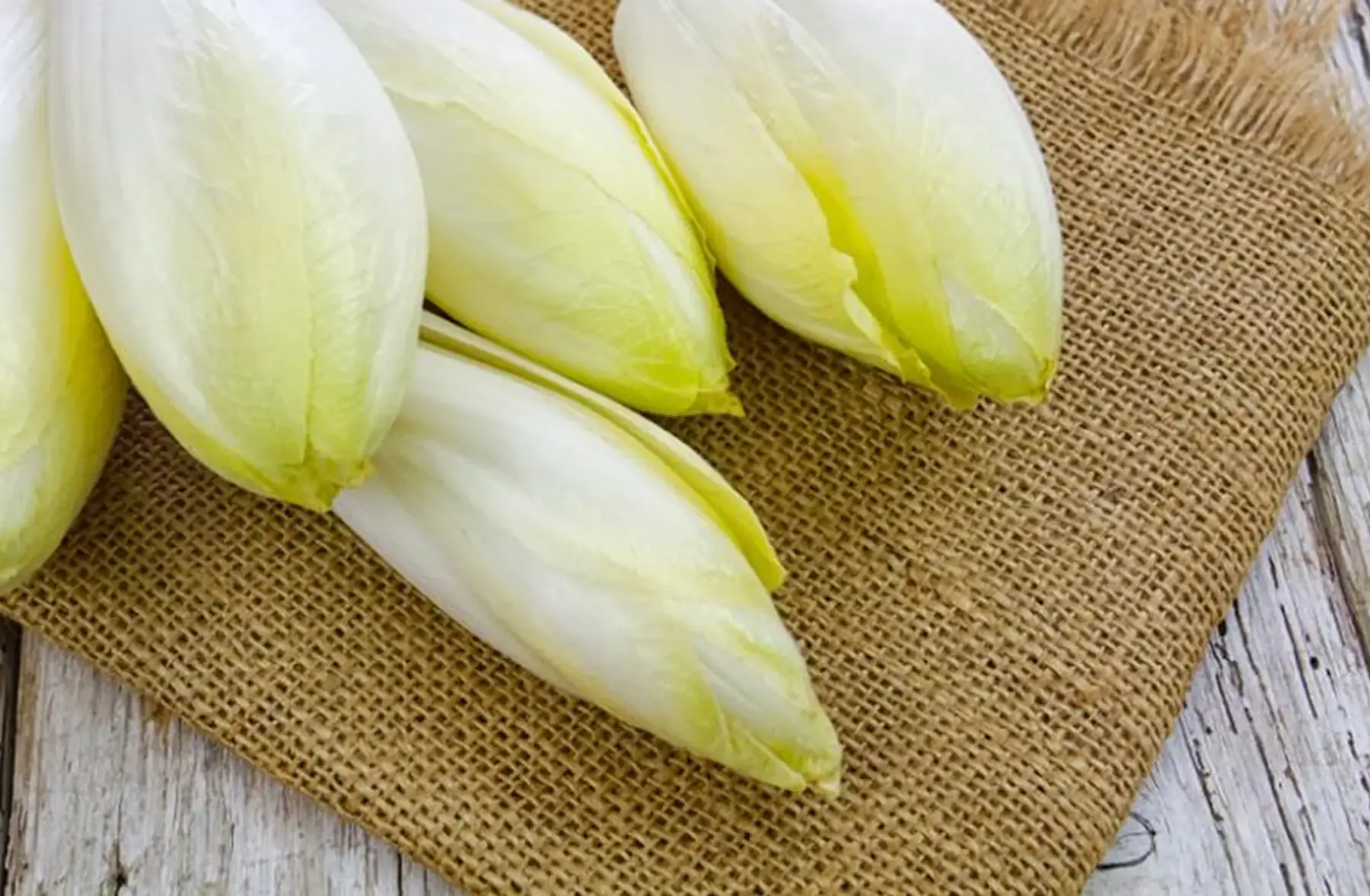 endive