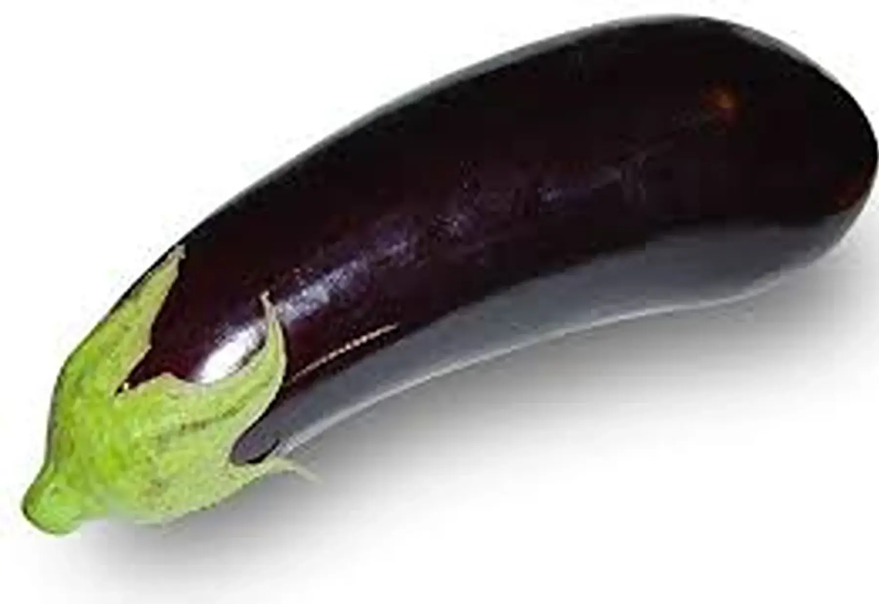 aubergine