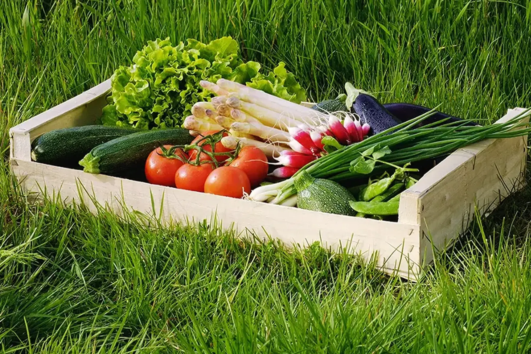panier de légume varié de saison