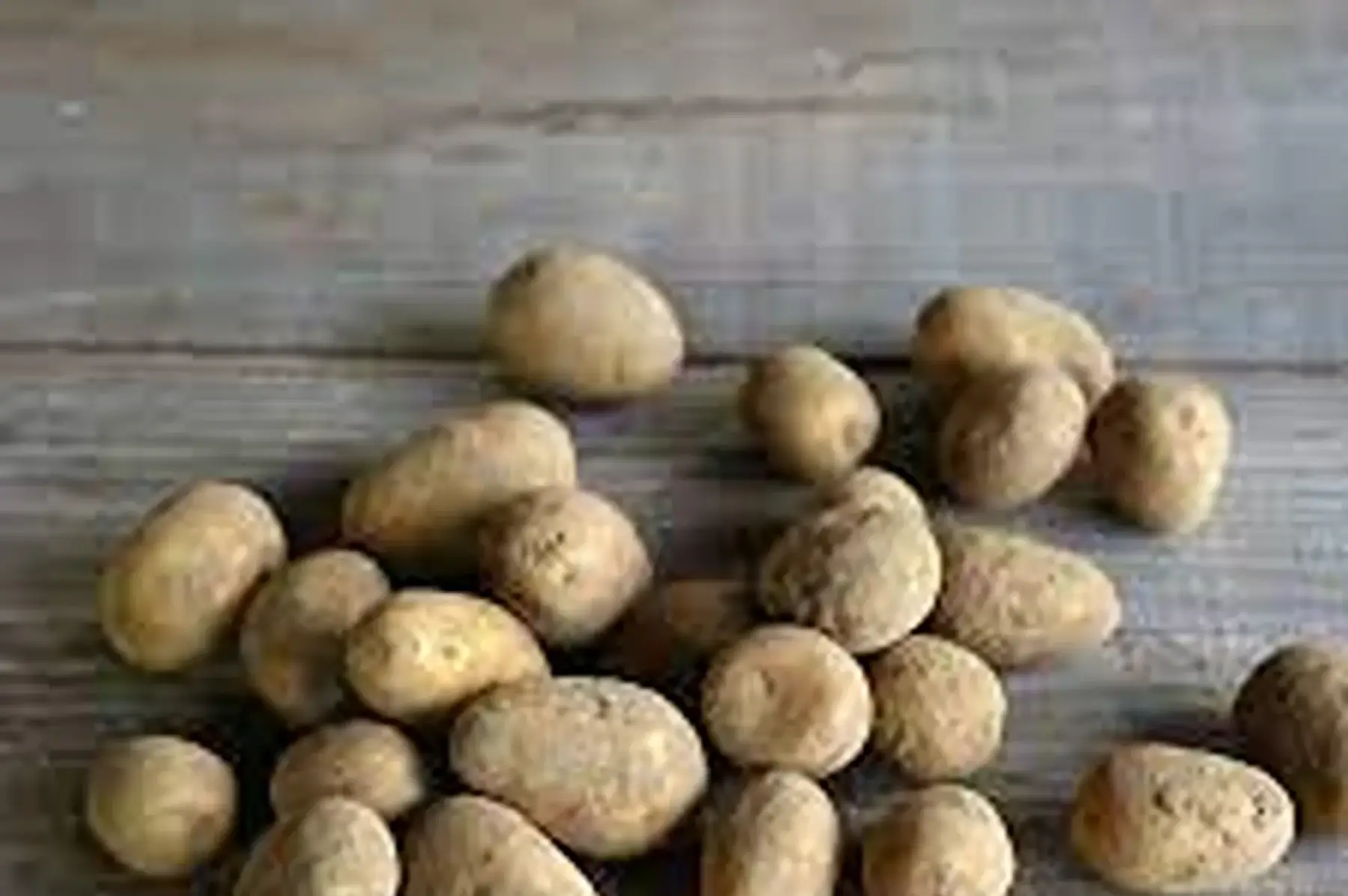 pomme de terre grenaille primeure