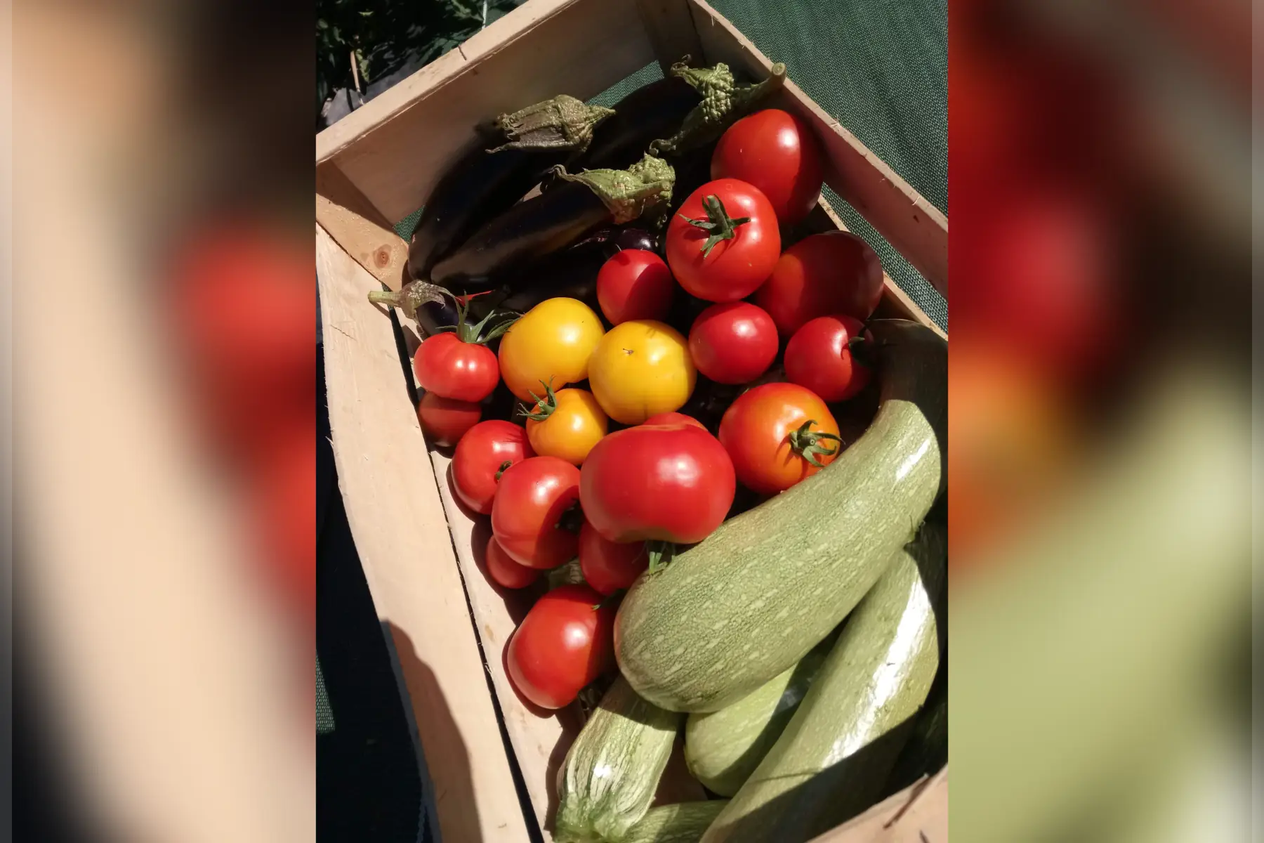 panier surprise à 20€