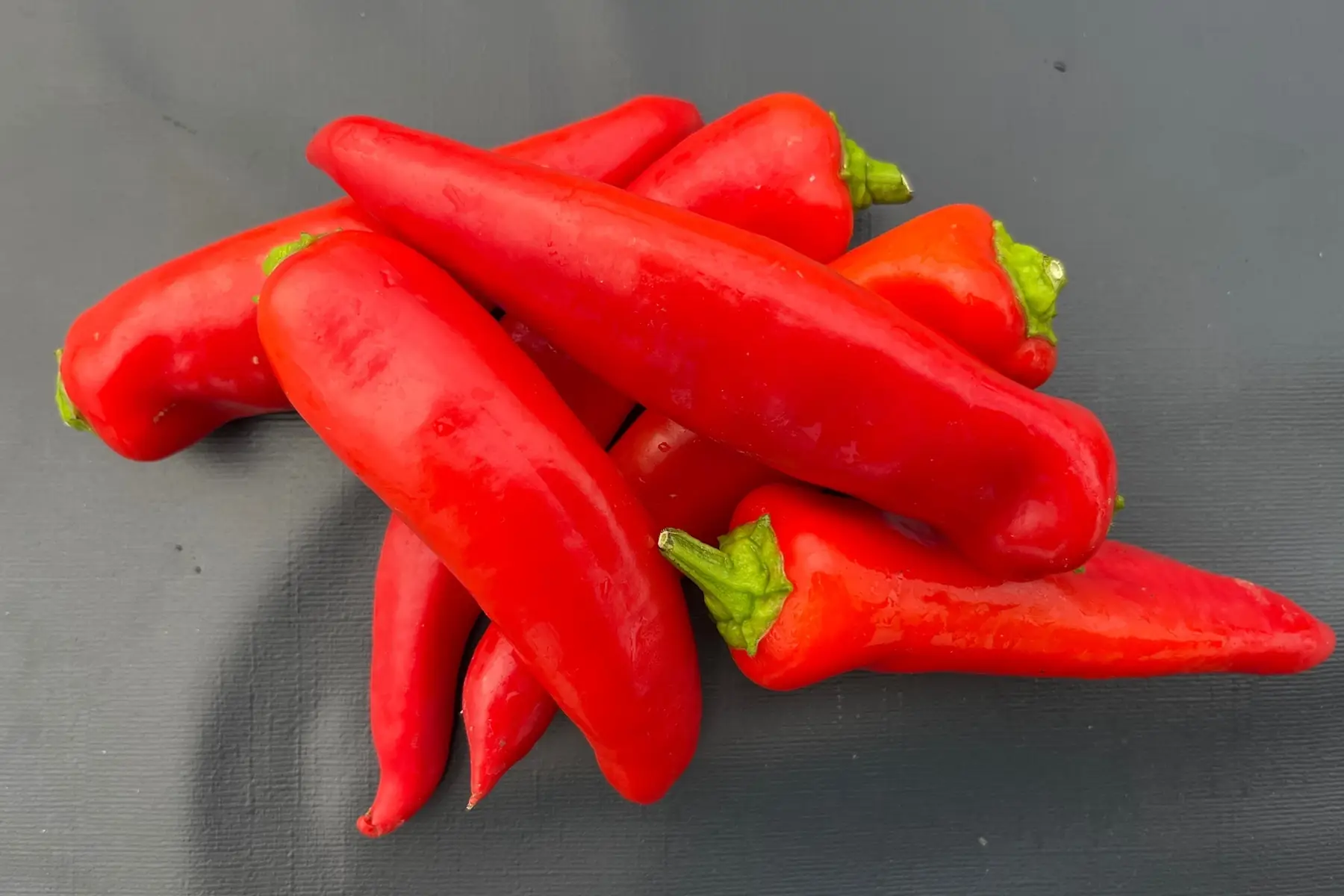 Piment HUNGARIAN (5/6pieces)