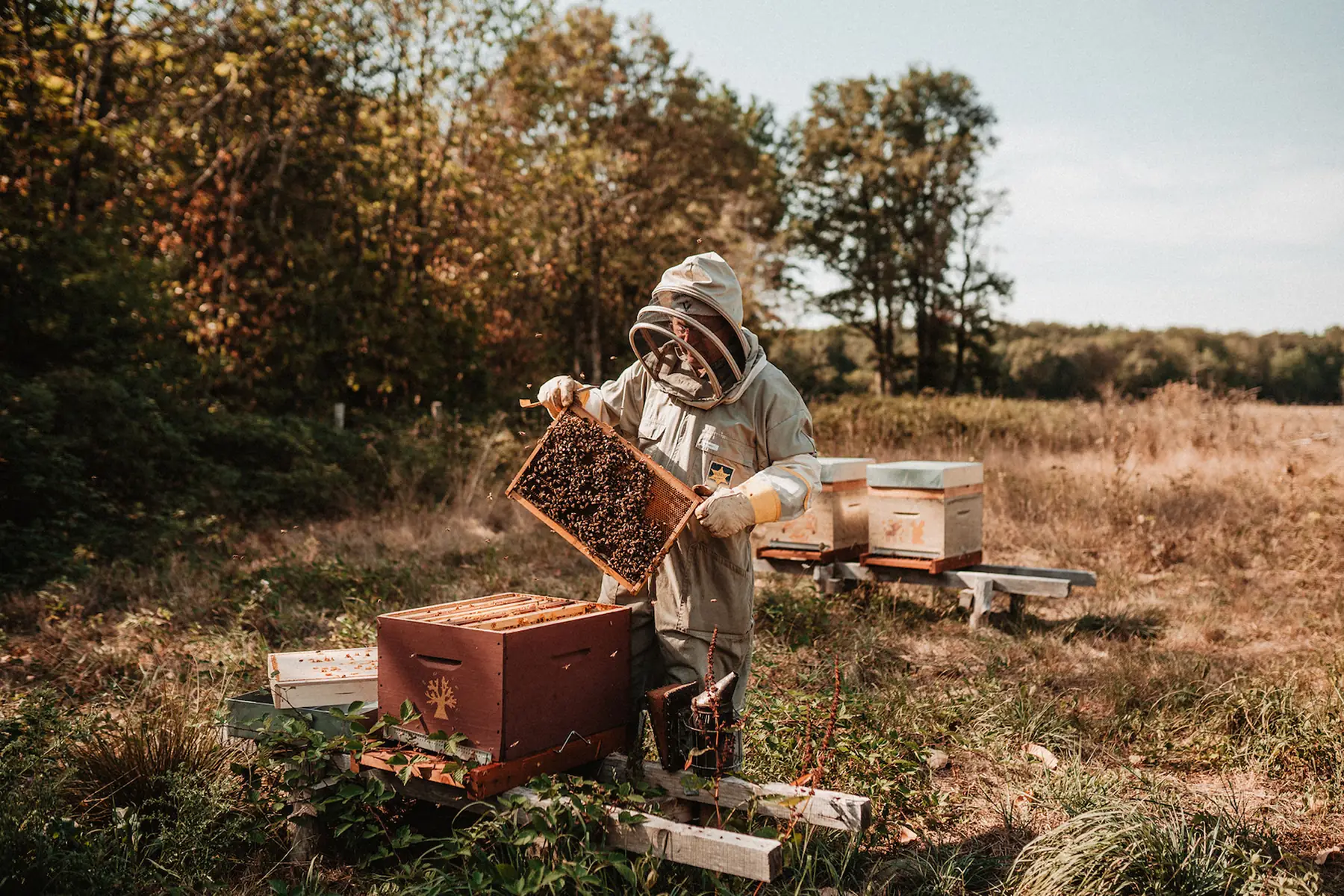 Les Prairies des Vermeils