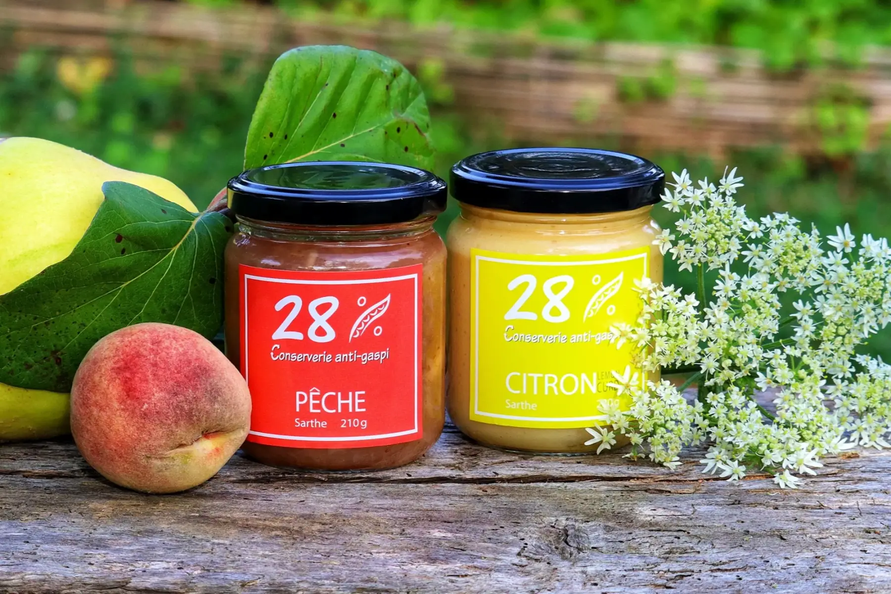 28% conserverie anti-gaspi