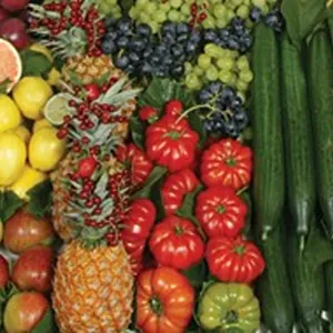 les jardins de mondpa